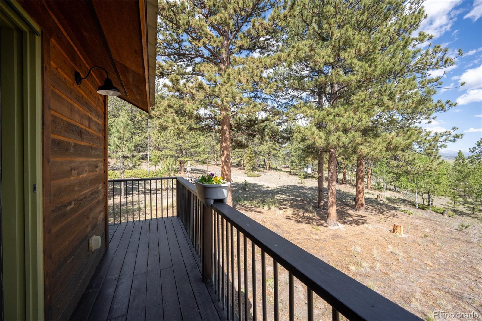MLS Image #28 for 730  lariat loop,hartsel, Colorado