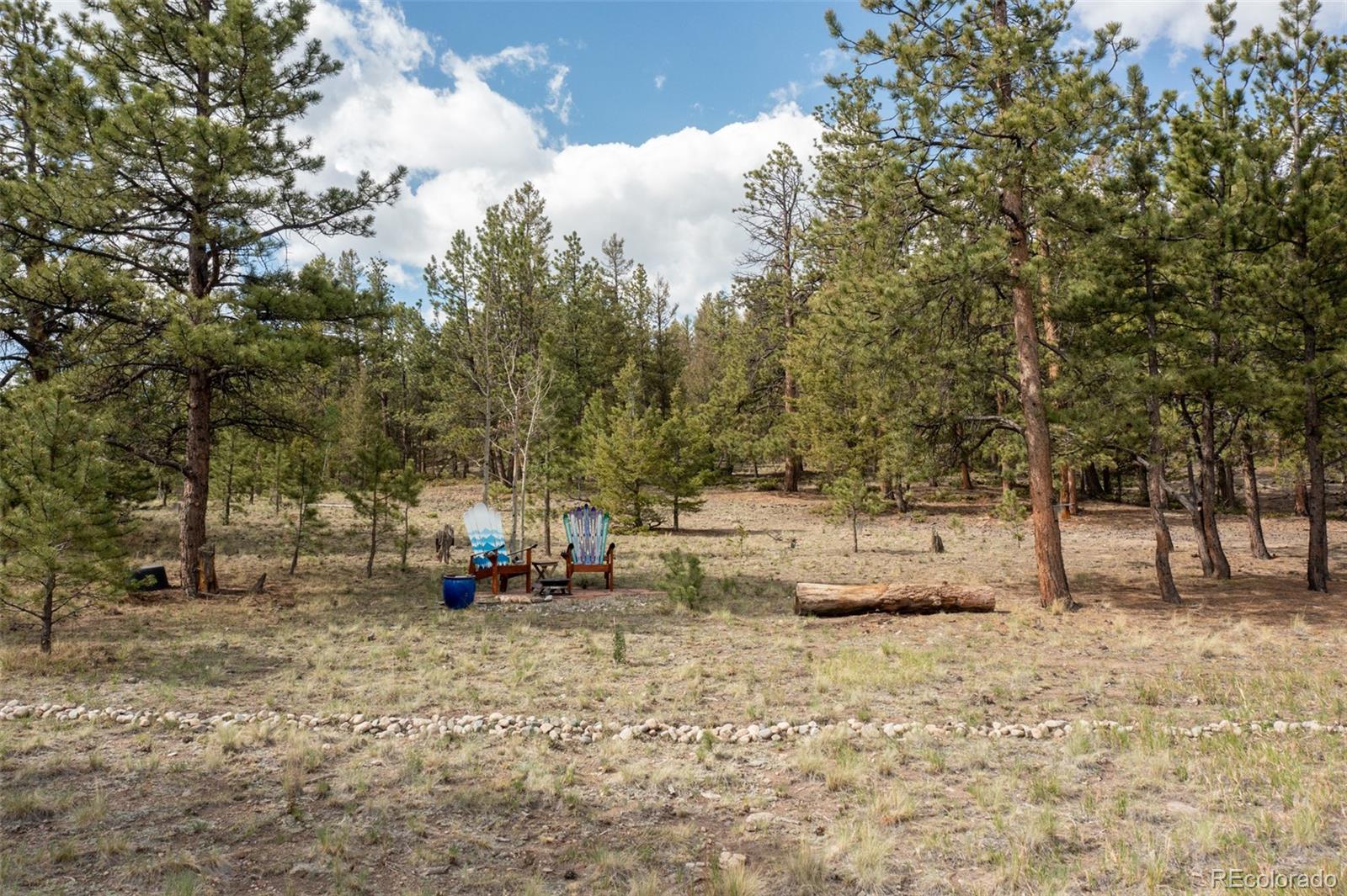 MLS Image #39 for 730  lariat loop,hartsel, Colorado