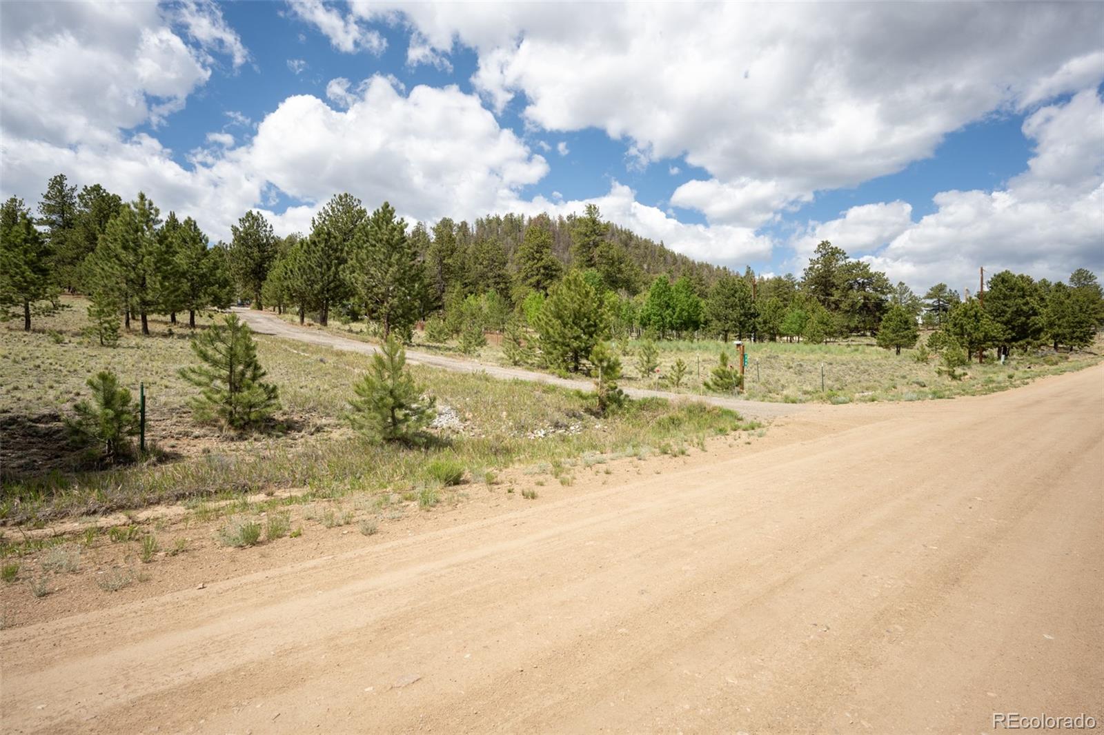 MLS Image #40 for 730  lariat loop,hartsel, Colorado