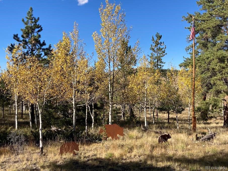 MLS Image #48 for 730  lariat loop,hartsel, Colorado