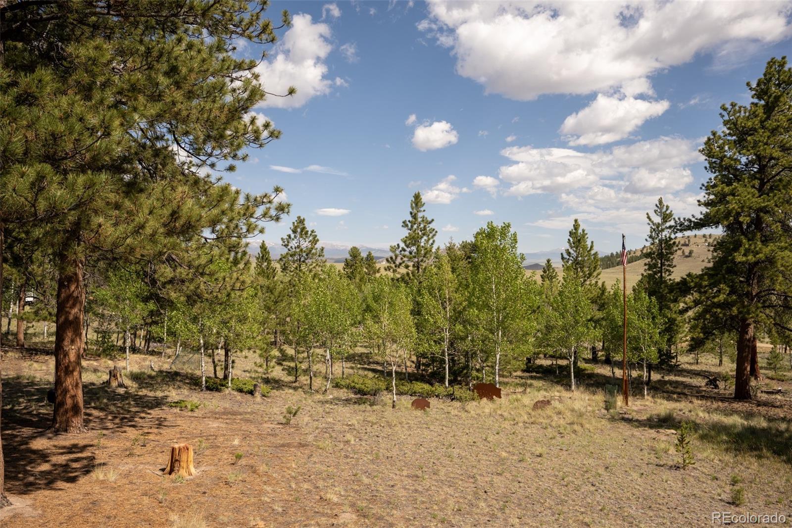 MLS Image #7 for 730  lariat loop,hartsel, Colorado