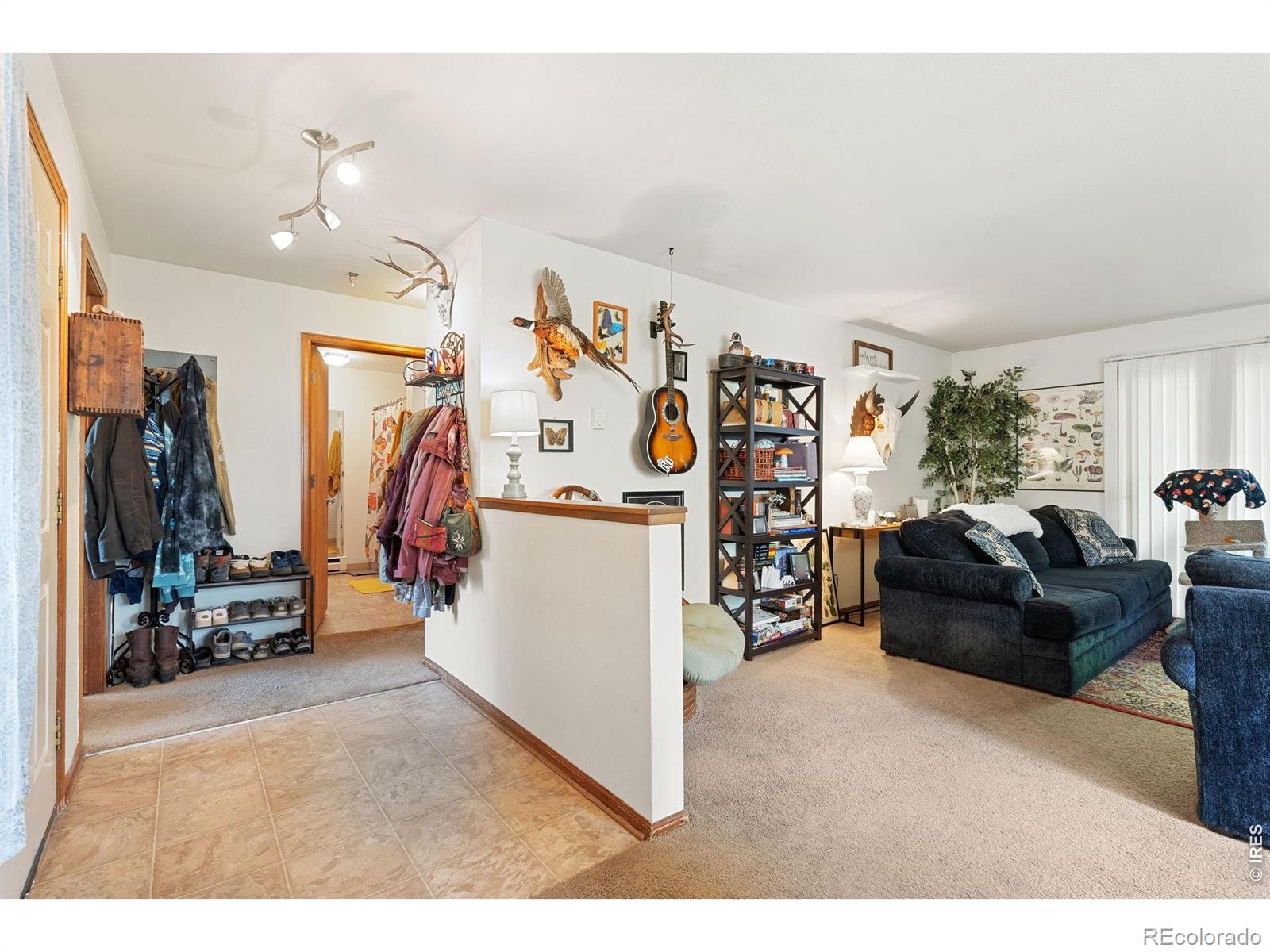 MLS Image #5 for 3465  lochwood drive,fort collins, Colorado