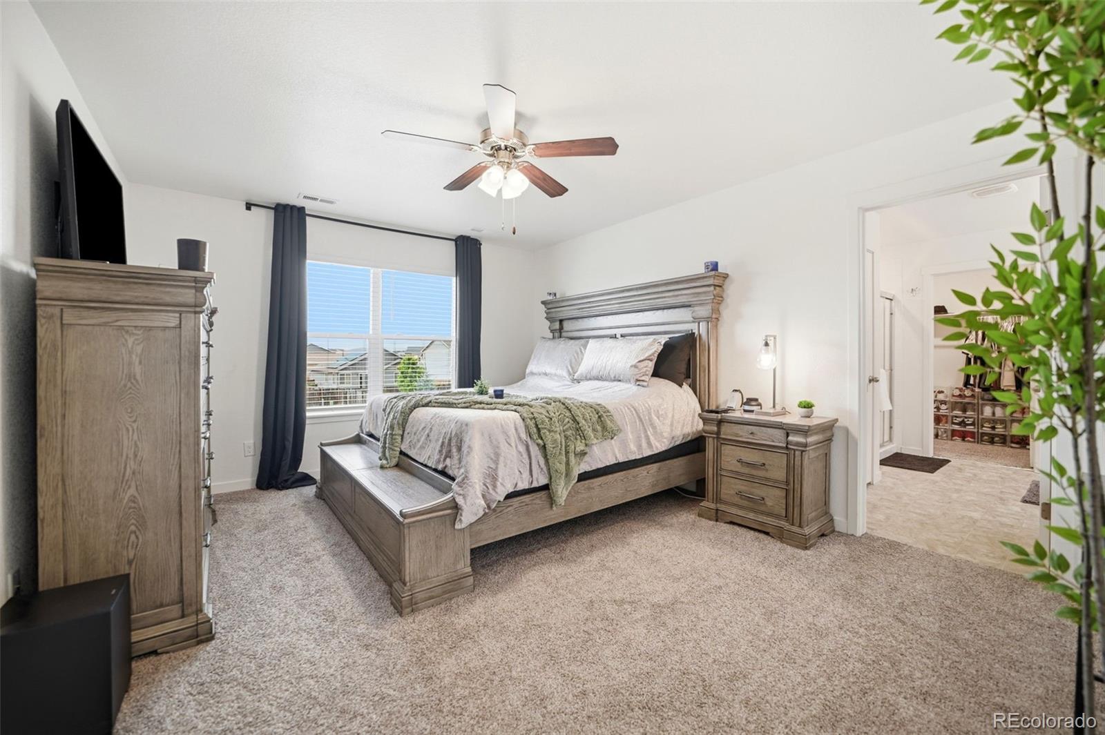 MLS Image #22 for 10152  castor drive,colorado springs, Colorado