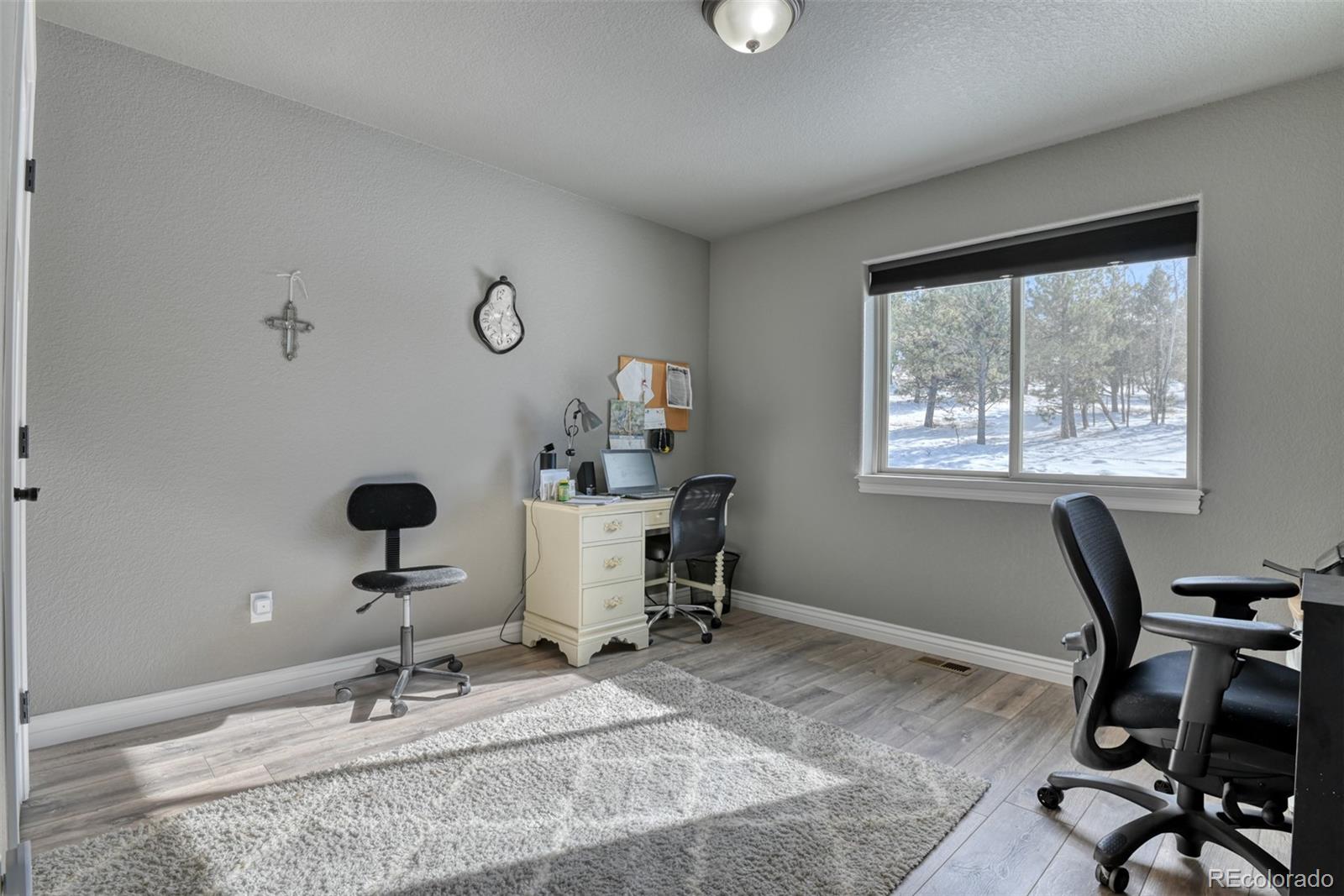 MLS Image #12 for 24  big horn circle circle,florissant, Colorado
