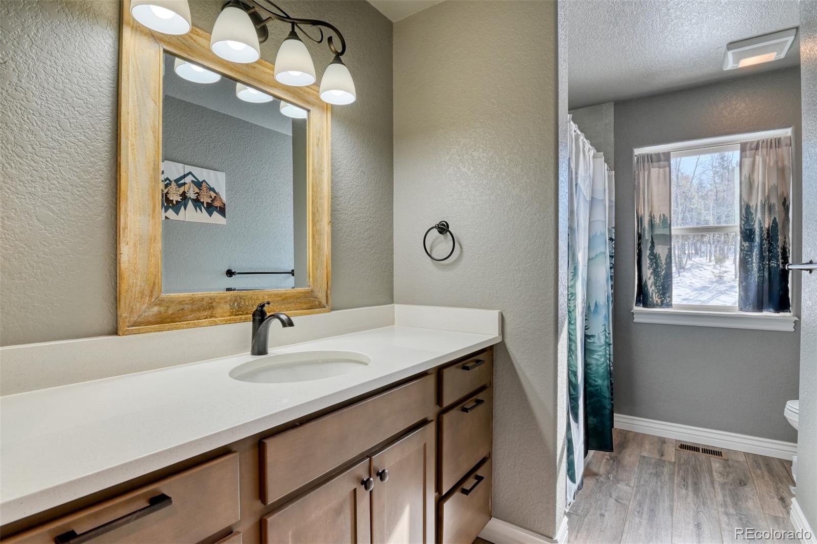 MLS Image #13 for 24  big horn circle circle,florissant, Colorado