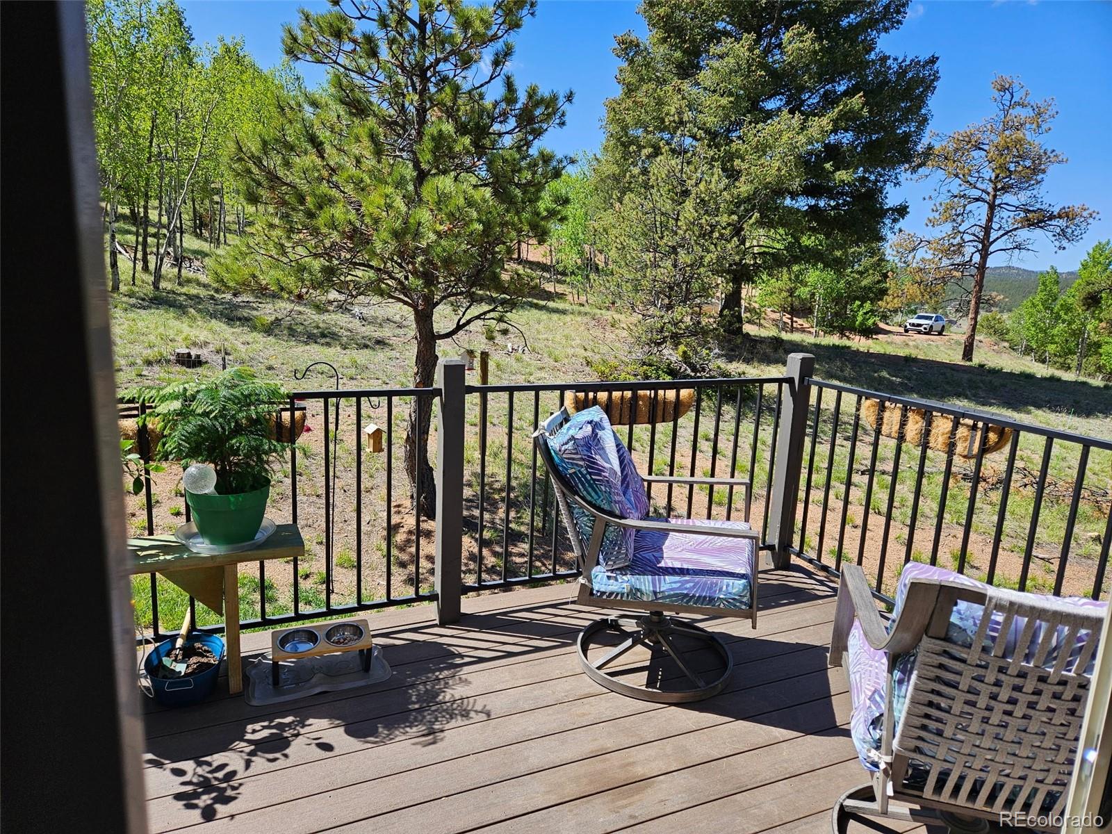 MLS Image #19 for 24  big horn circle circle,florissant, Colorado