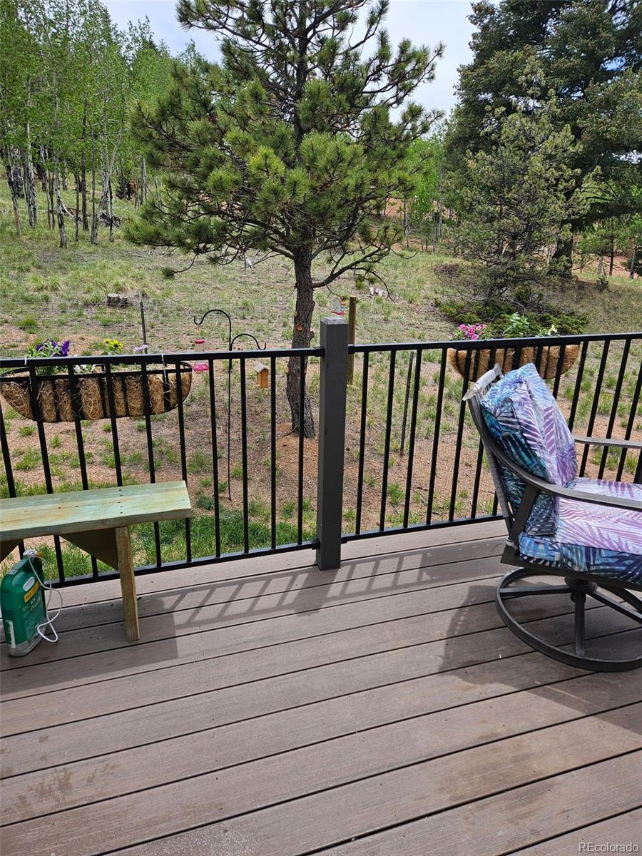 MLS Image #20 for 24  big horn circle circle,florissant, Colorado