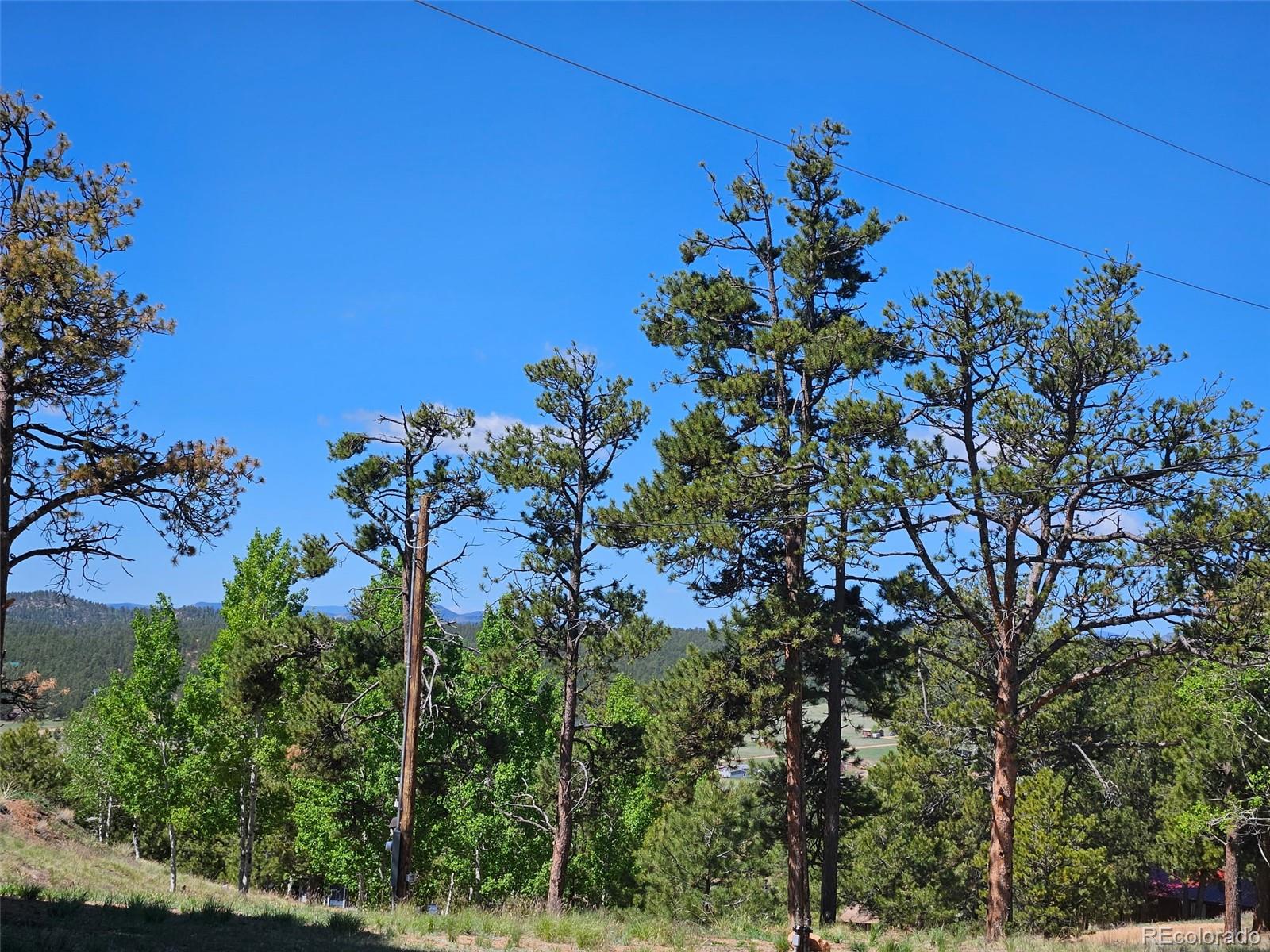 MLS Image #22 for 24  big horn circle circle,florissant, Colorado