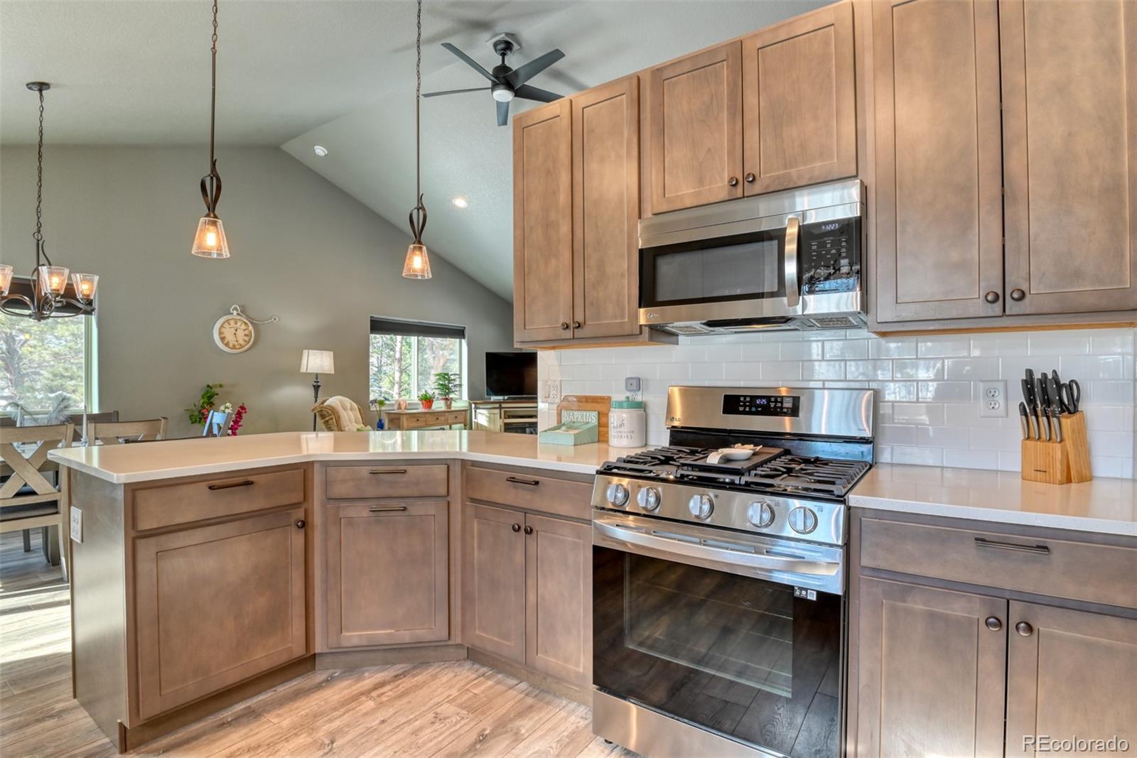 MLS Image #3 for 24  big horn circle circle,florissant, Colorado