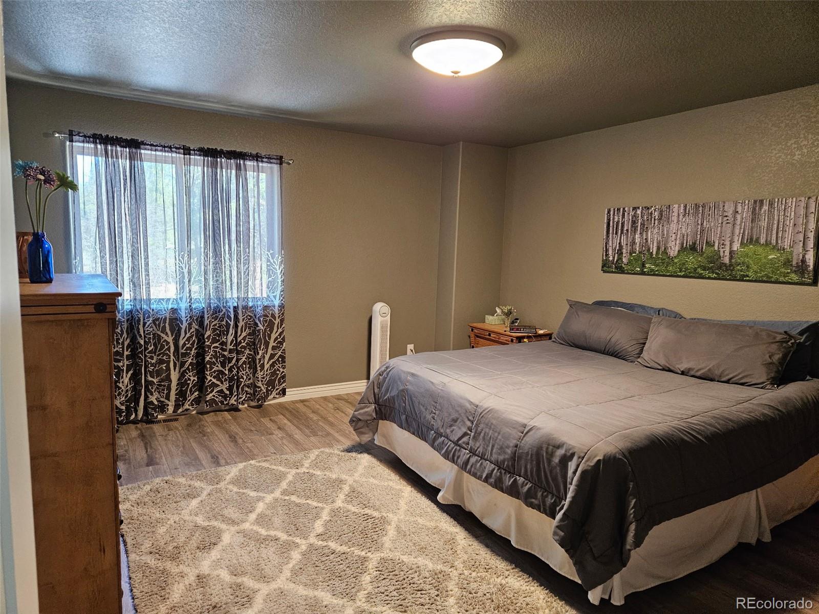 MLS Image #7 for 24  big horn circle circle,florissant, Colorado