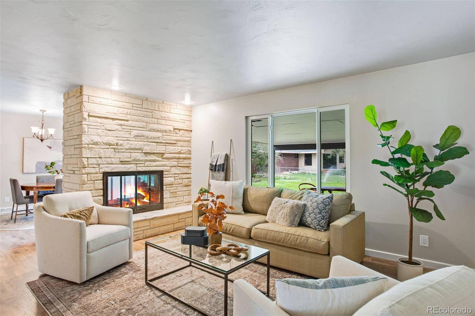 MLS Image #9 for 904  edwards street,fort collins, Colorado