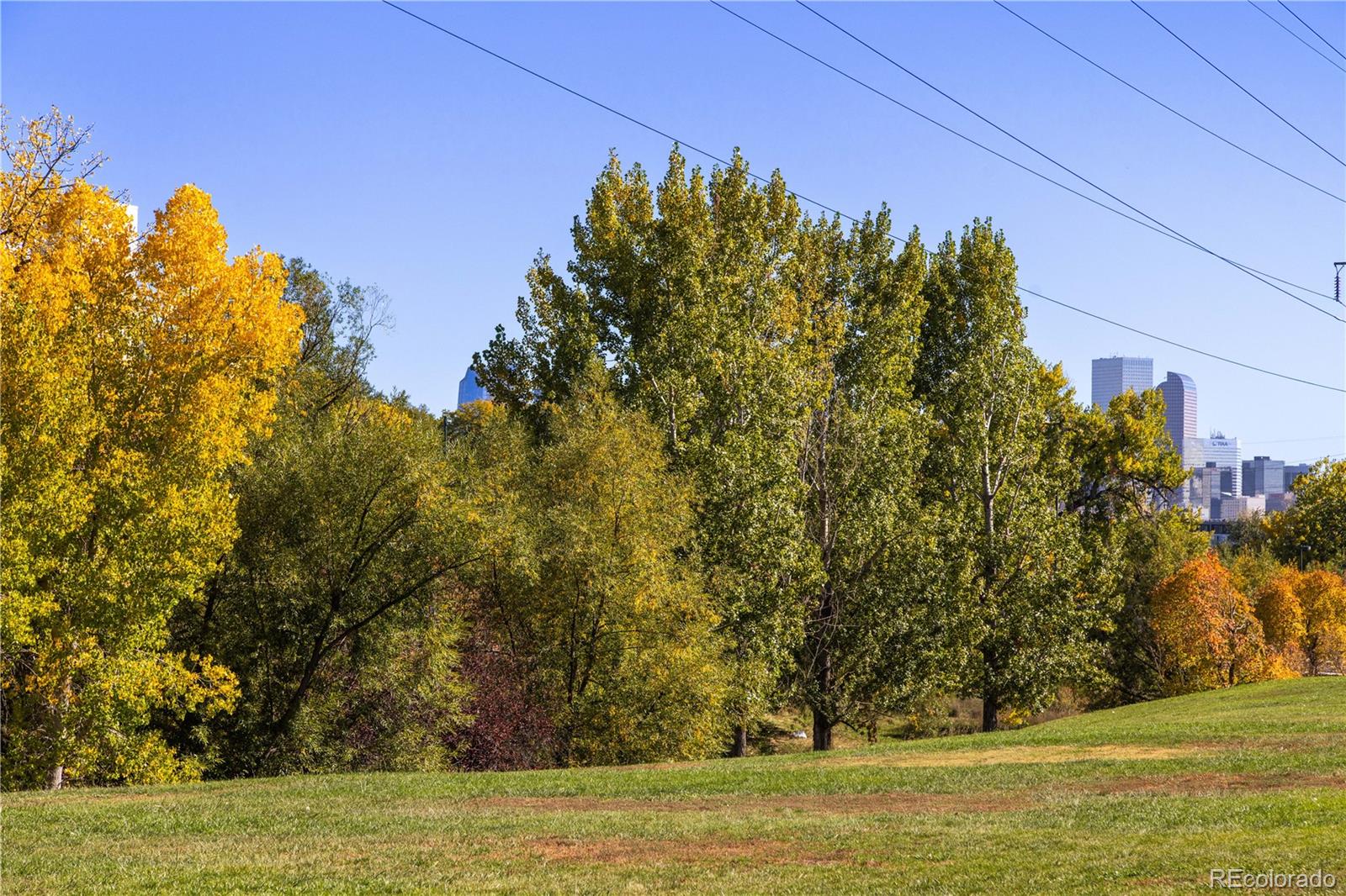 MLS Image #24 for 3610 w 12th avenue,denver, Colorado