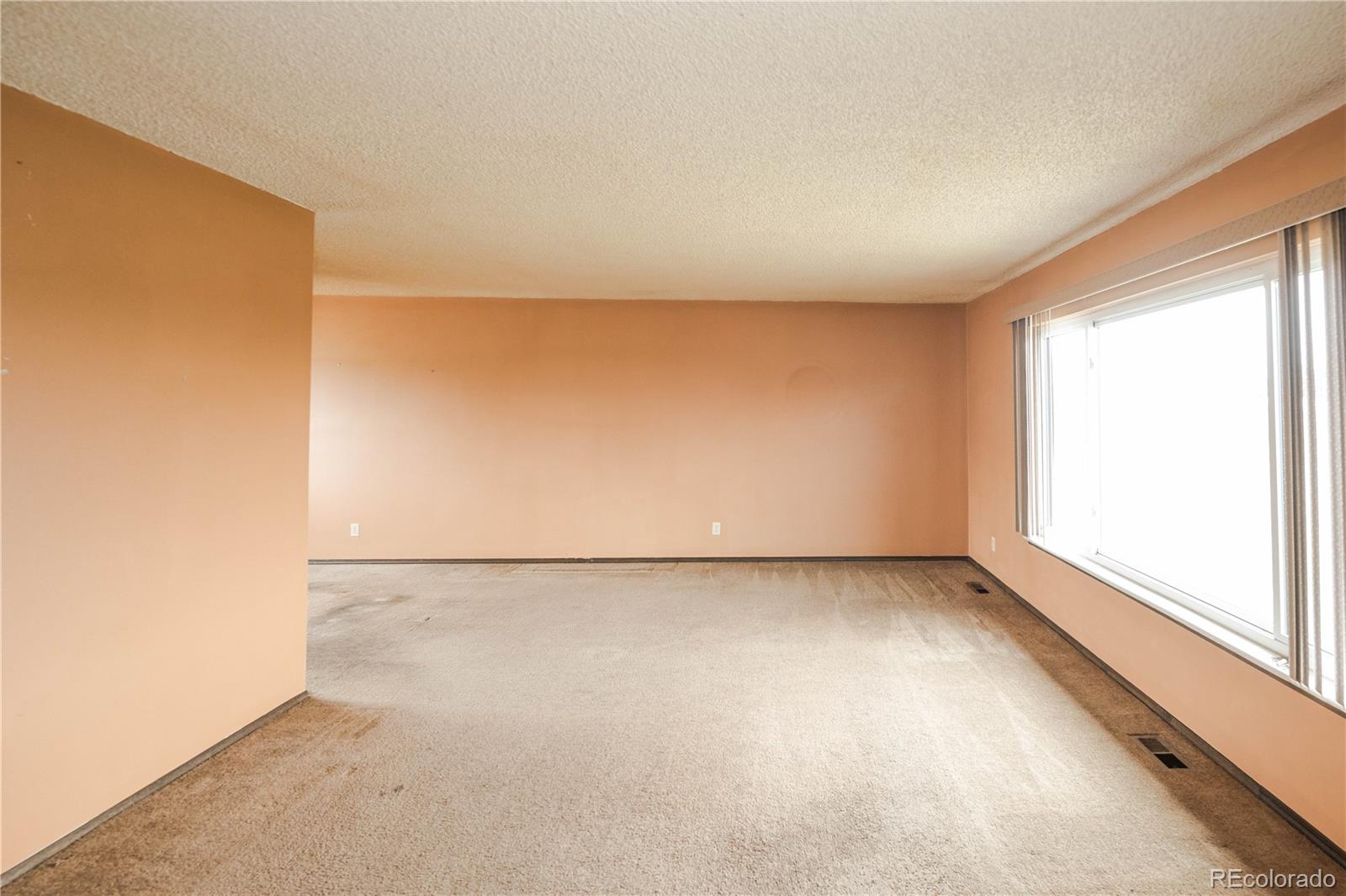 MLS Image #4 for 10268  spring creek road,parker, Colorado