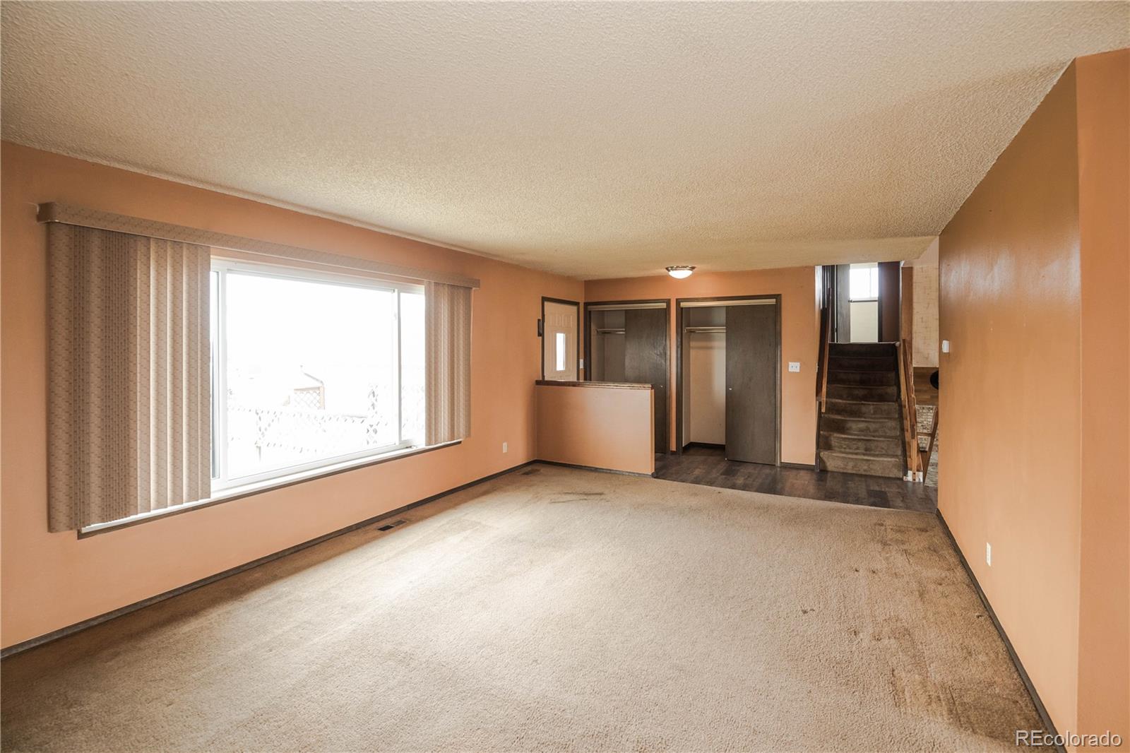 MLS Image #5 for 10268  spring creek road,parker, Colorado