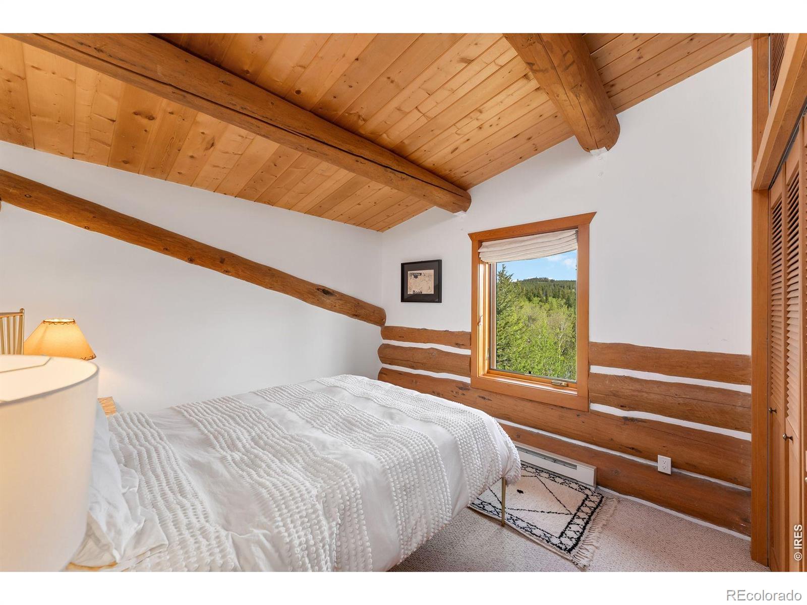 MLS Image #26 for 2200  cr-103 ,nederland, Colorado