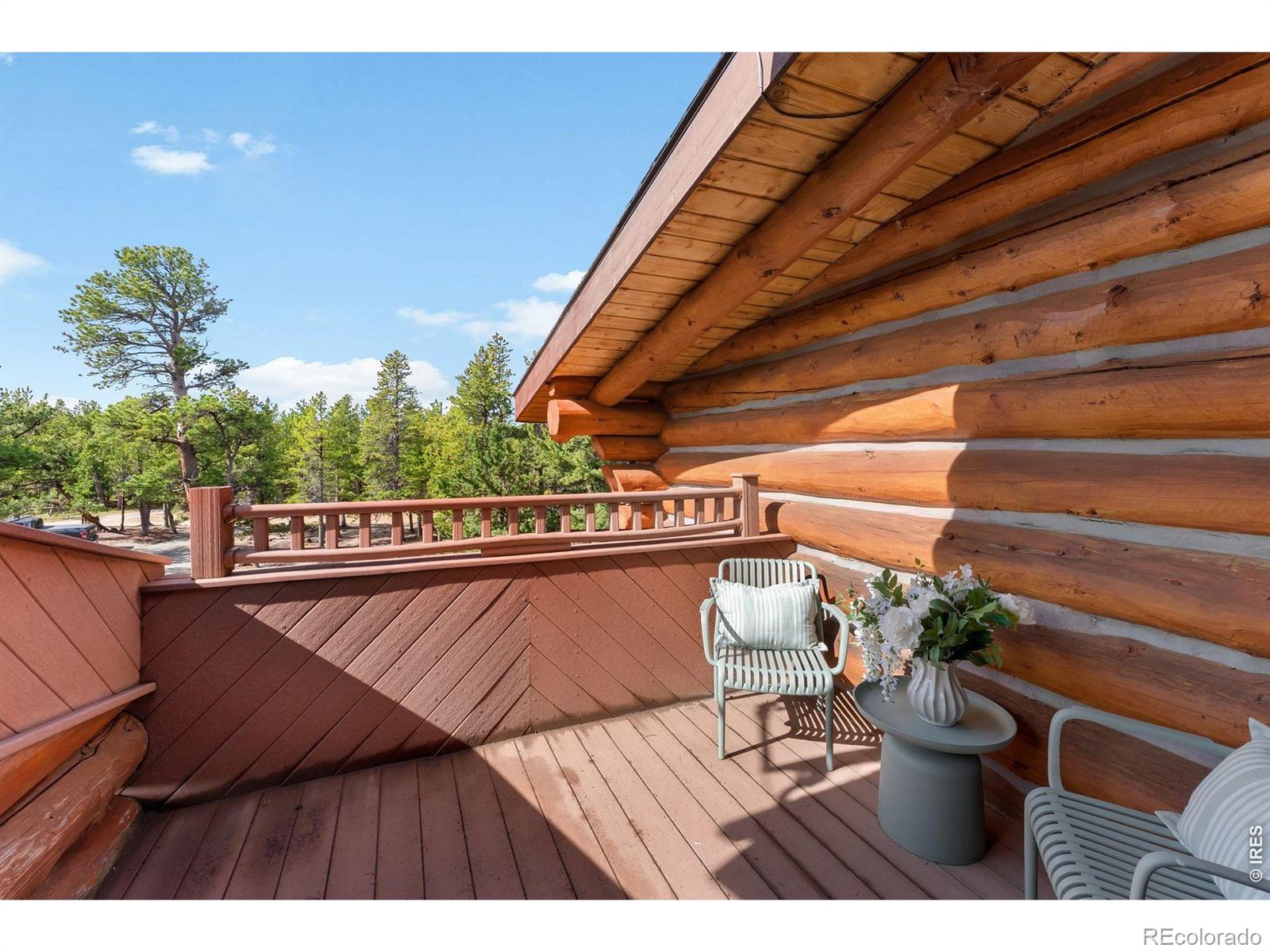 MLS Image #28 for 2200  cr-103 ,nederland, Colorado