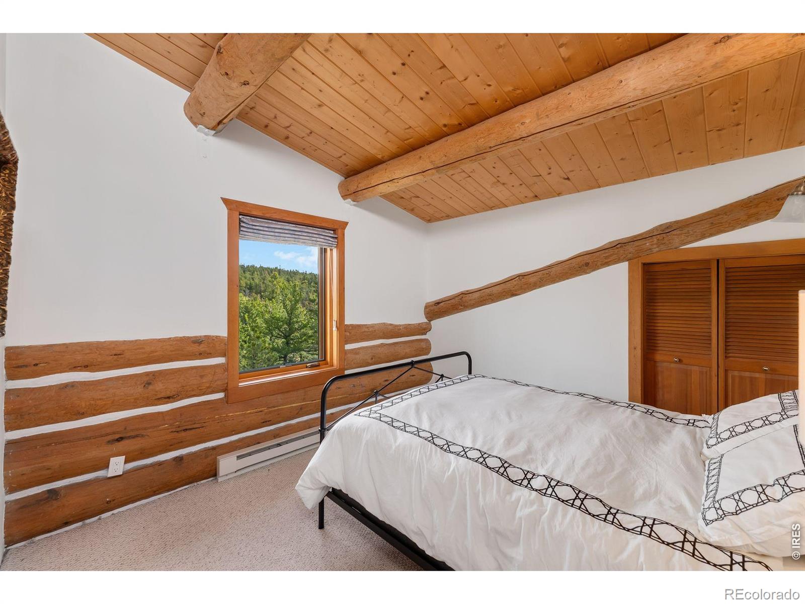 MLS Image #32 for 2200  cr-103 ,nederland, Colorado