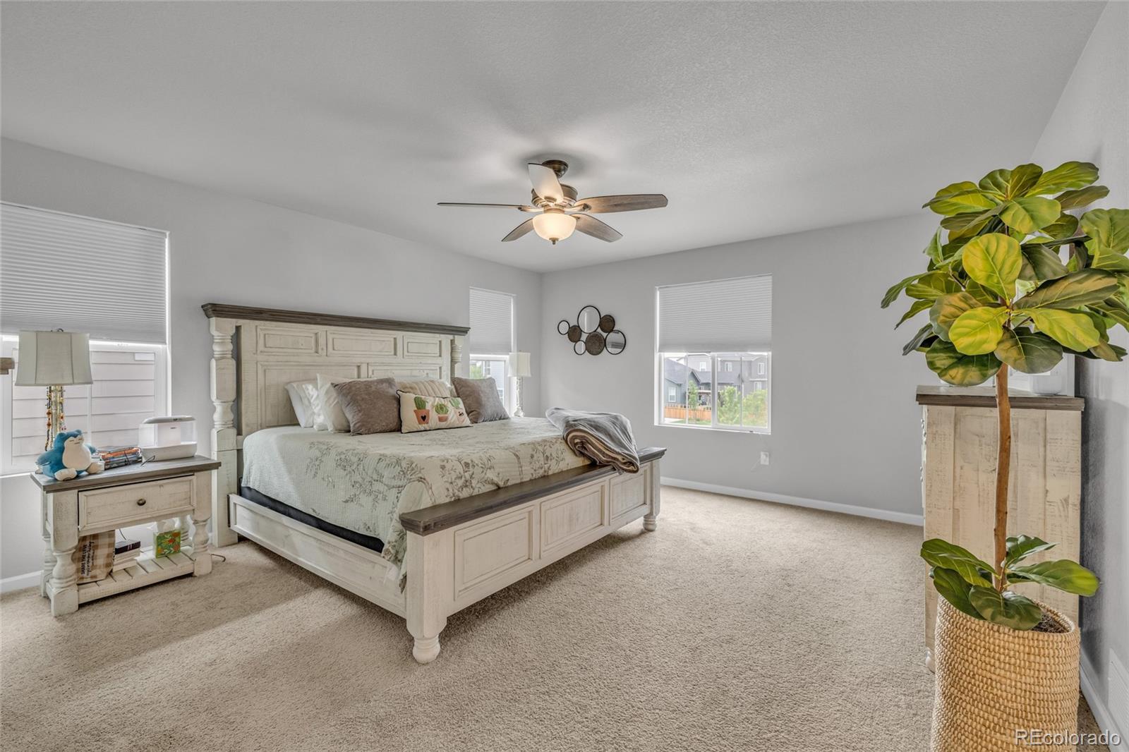 MLS Image #13 for 5433  bauer drive,longmont, Colorado