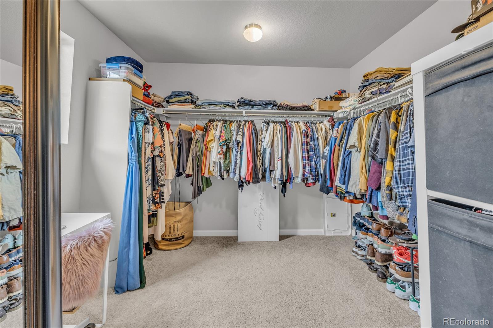 MLS Image #18 for 5433  bauer drive,longmont, Colorado