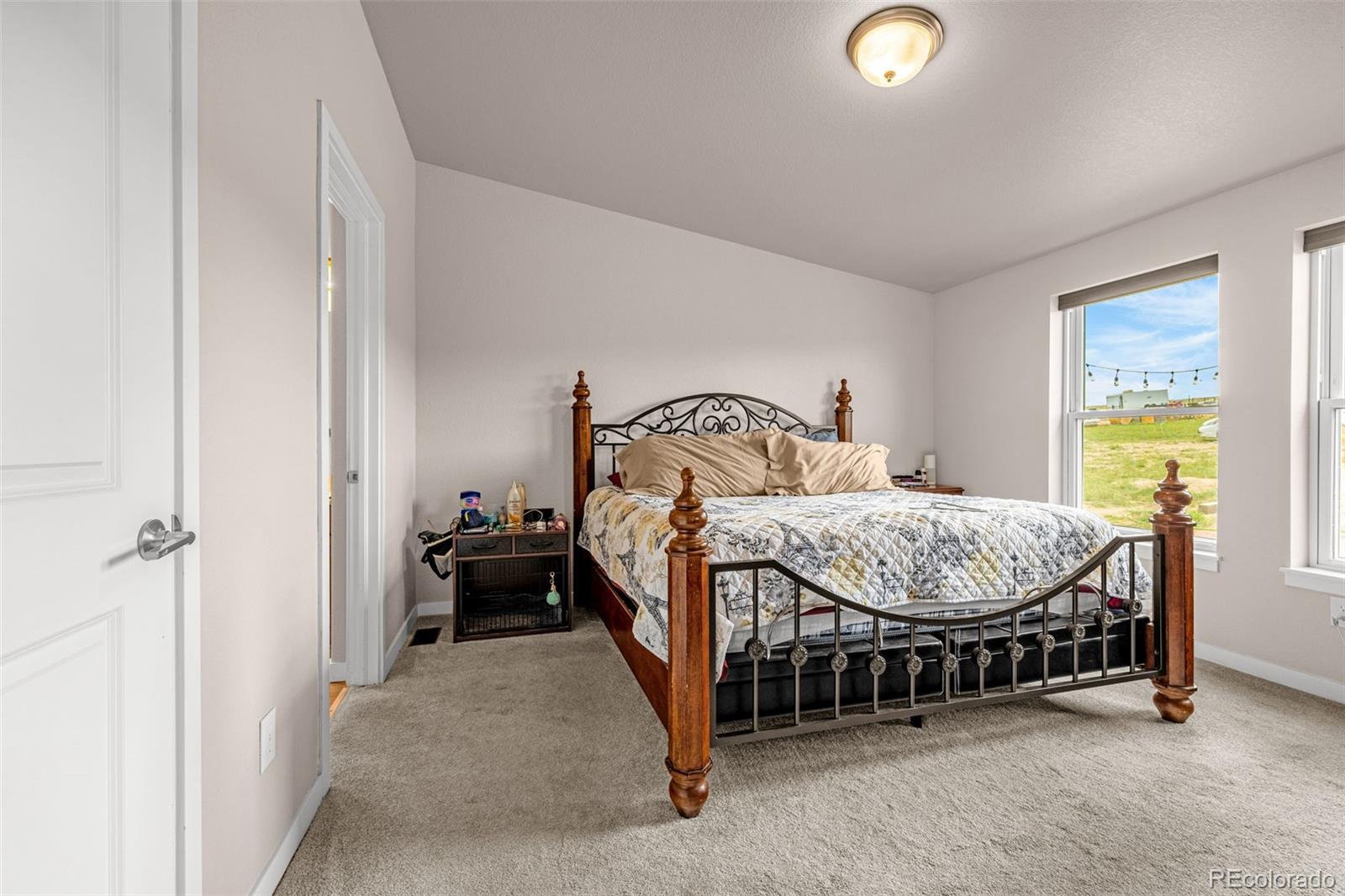 MLS Image #10 for 3245  pennys peak vw ,peyton, Colorado