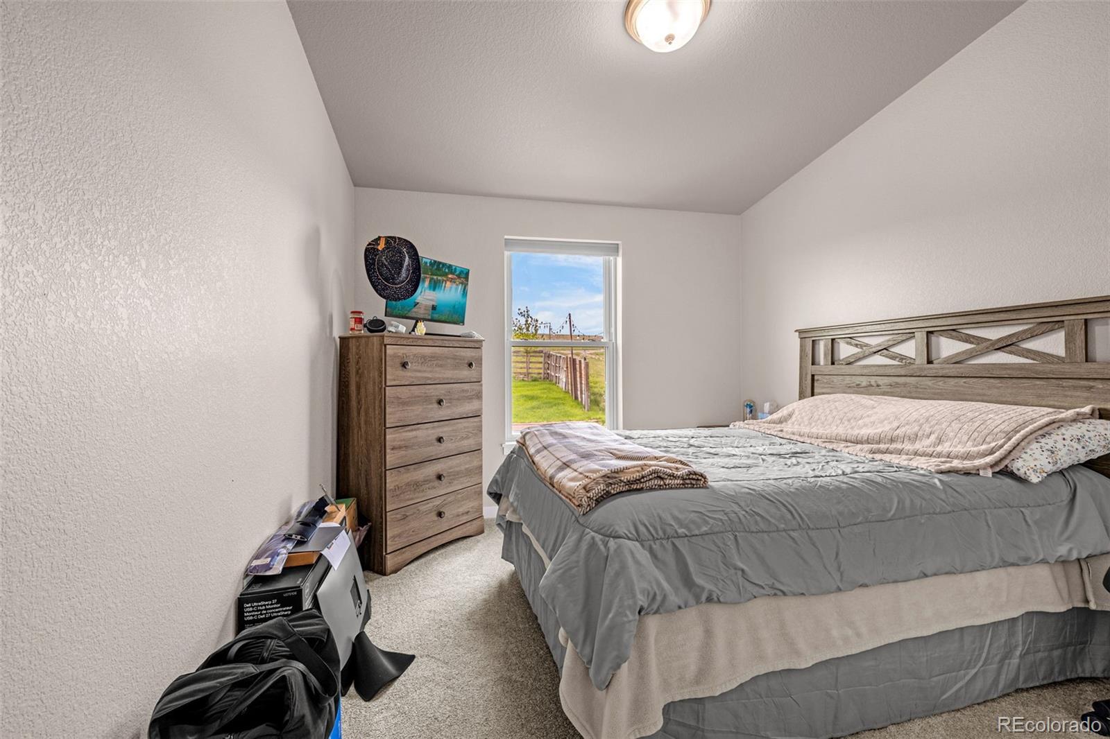 MLS Image #6 for 3245  pennys peak vw ,peyton, Colorado