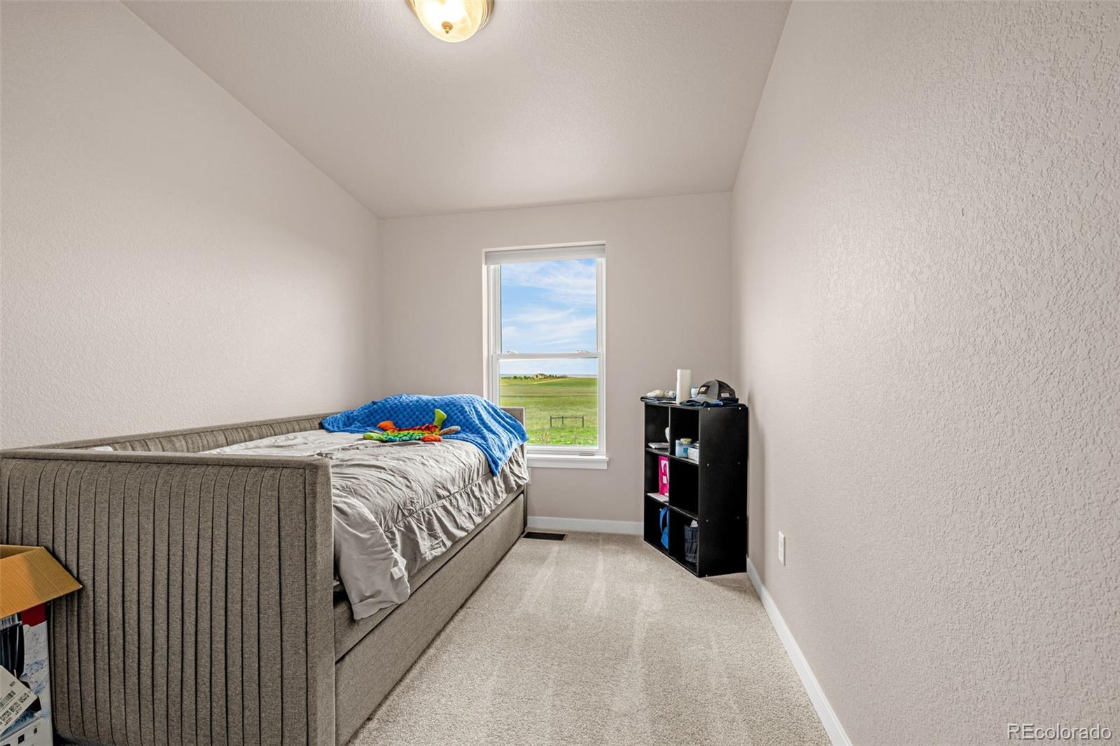 MLS Image #9 for 3245  pennys peak vw ,peyton, Colorado