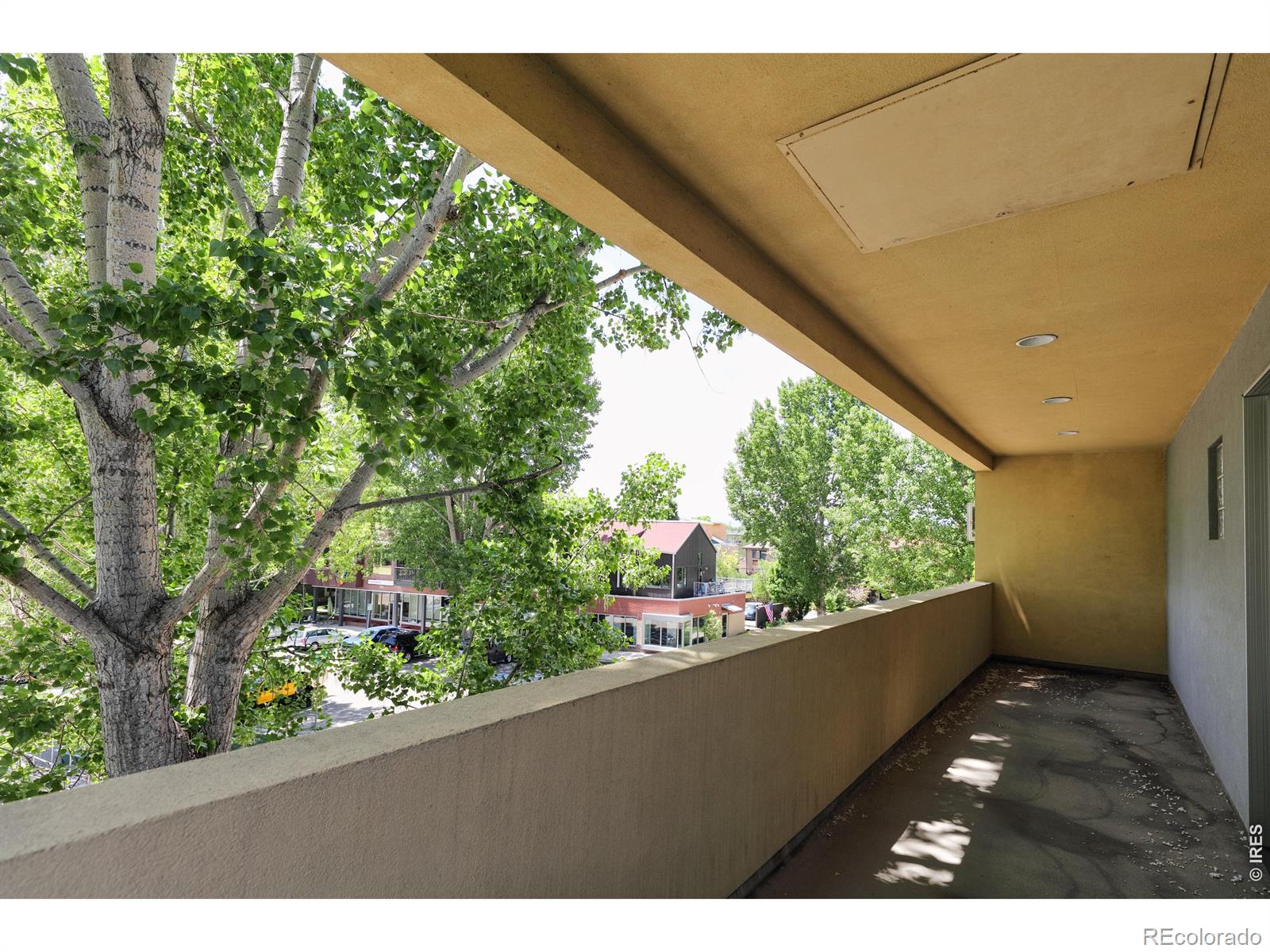 MLS Image #12 for 722  tenacity drive,longmont, Colorado