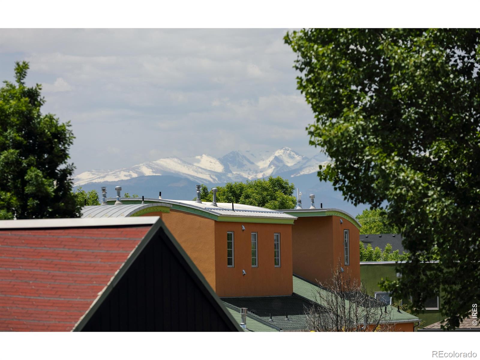 MLS Image #13 for 722  tenacity drive,longmont, Colorado