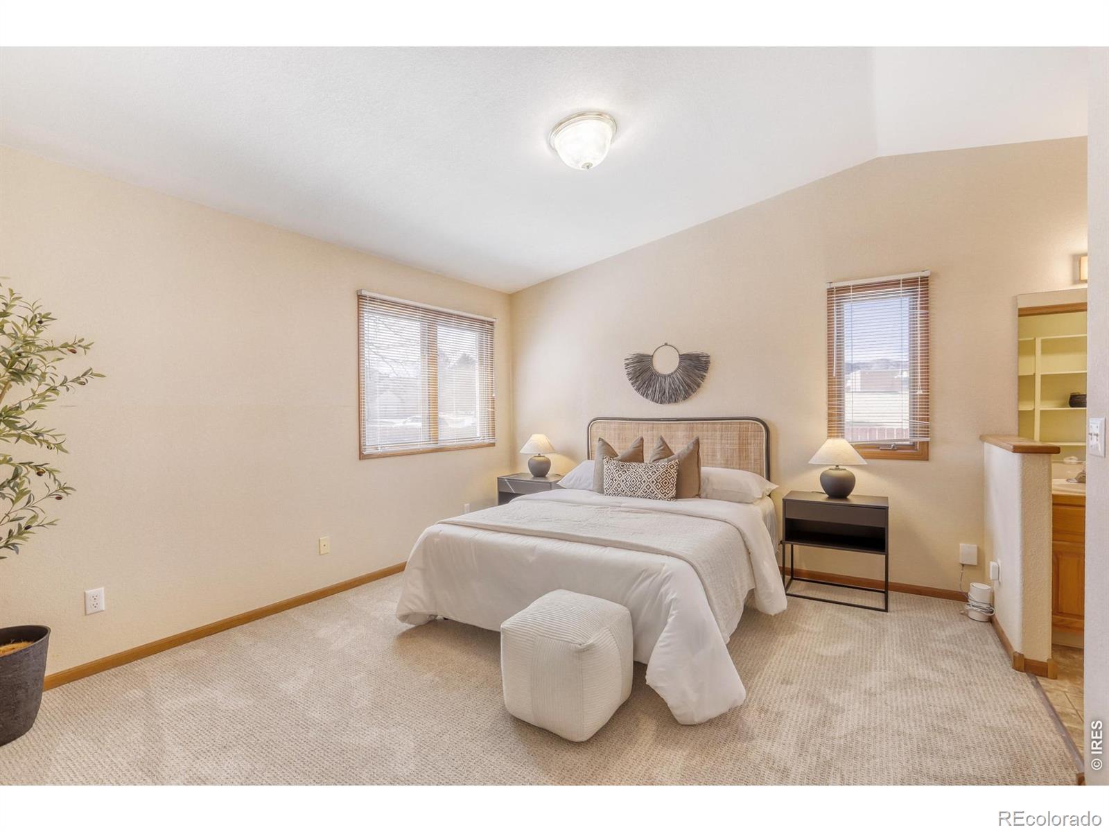MLS Image #13 for 2367  northbrook drive,fort collins, Colorado
