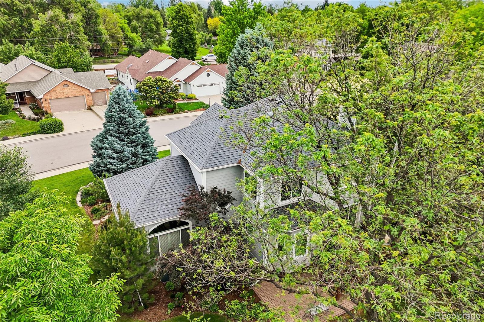 MLS Image #41 for 7154  burgundy drive,niwot, Colorado