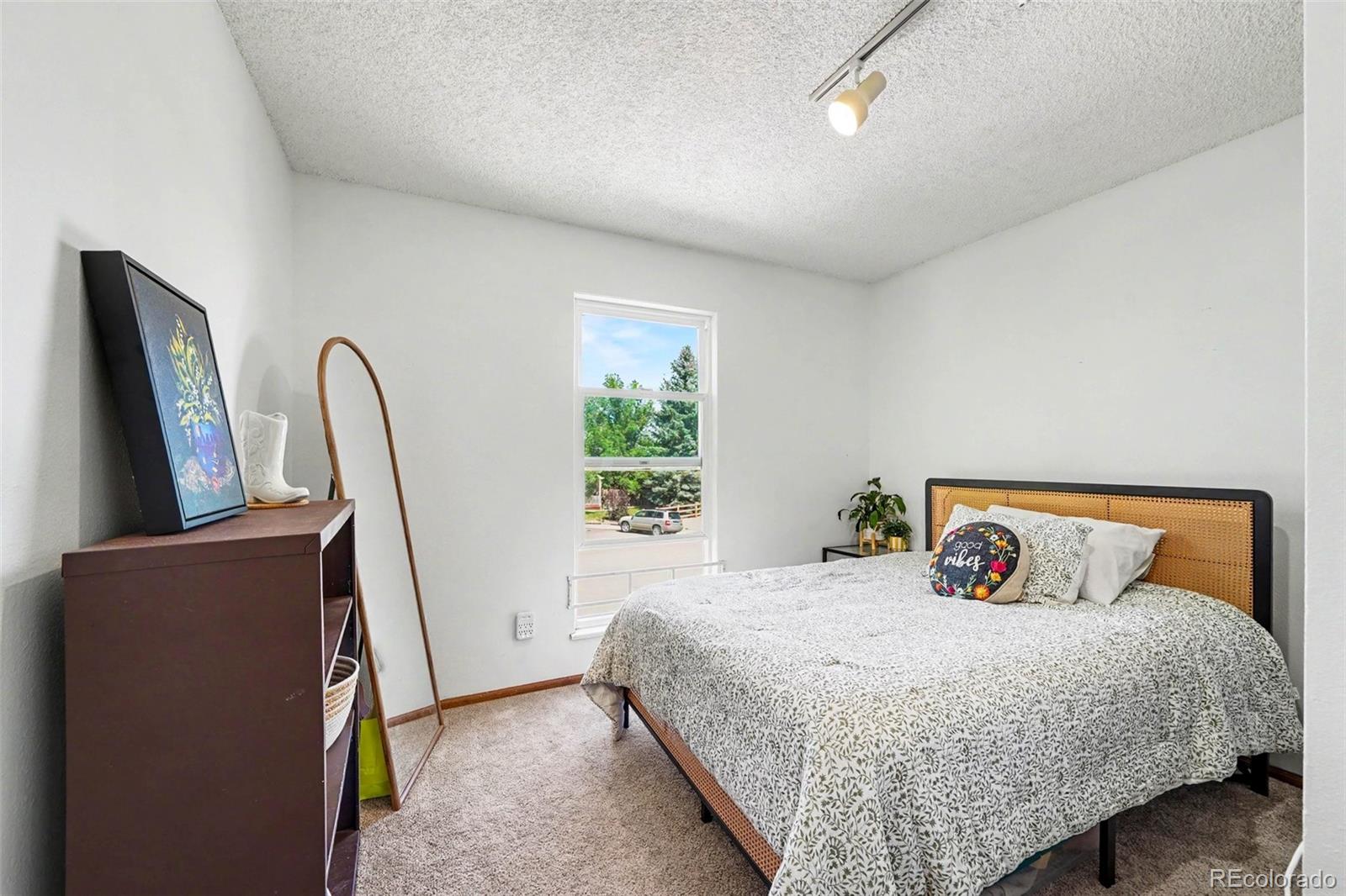 MLS Image #7 for 1065 s lindsey street,castle rock, Colorado