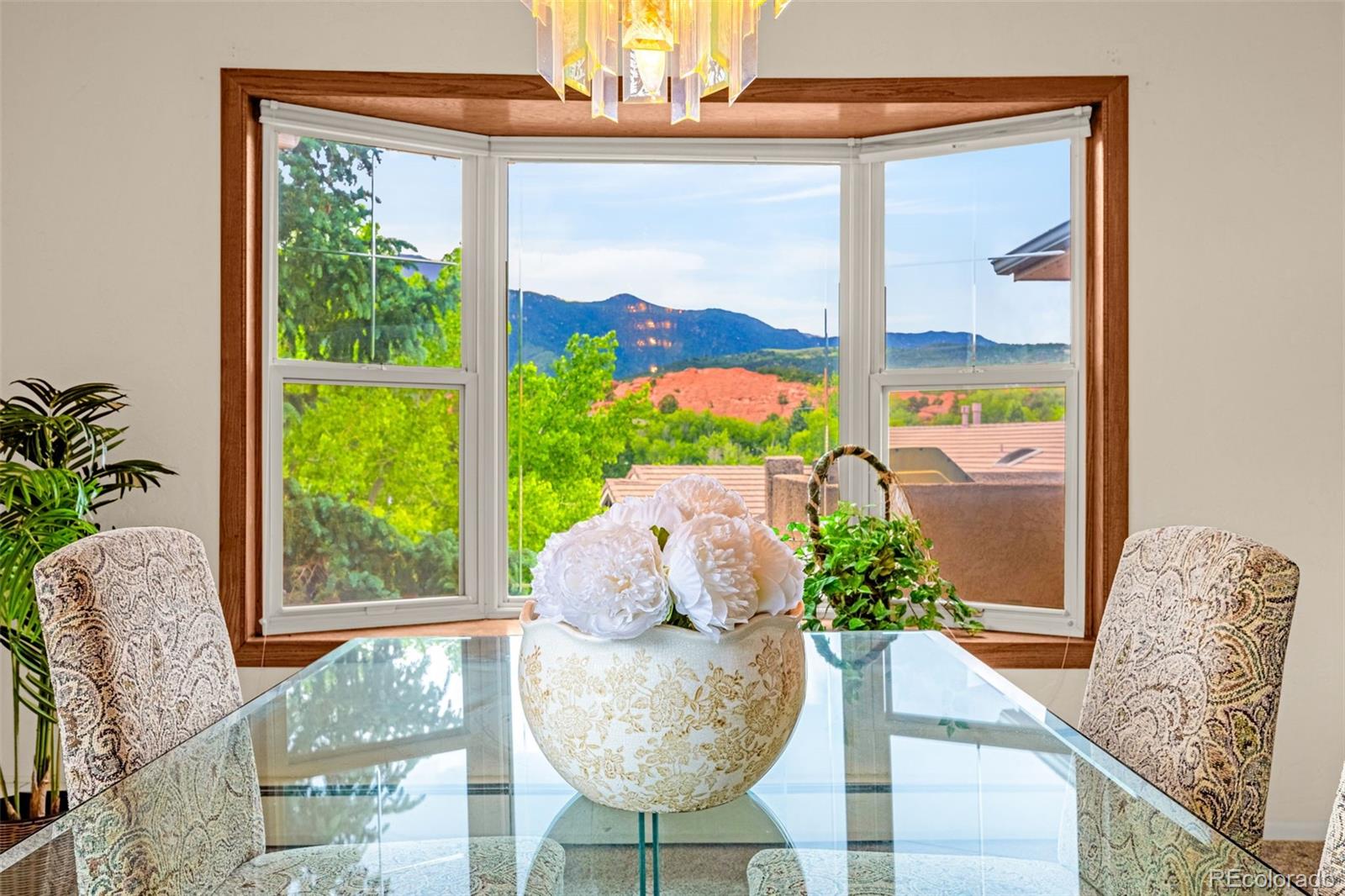 MLS Image #11 for 629  arnold lane,colorado springs, Colorado