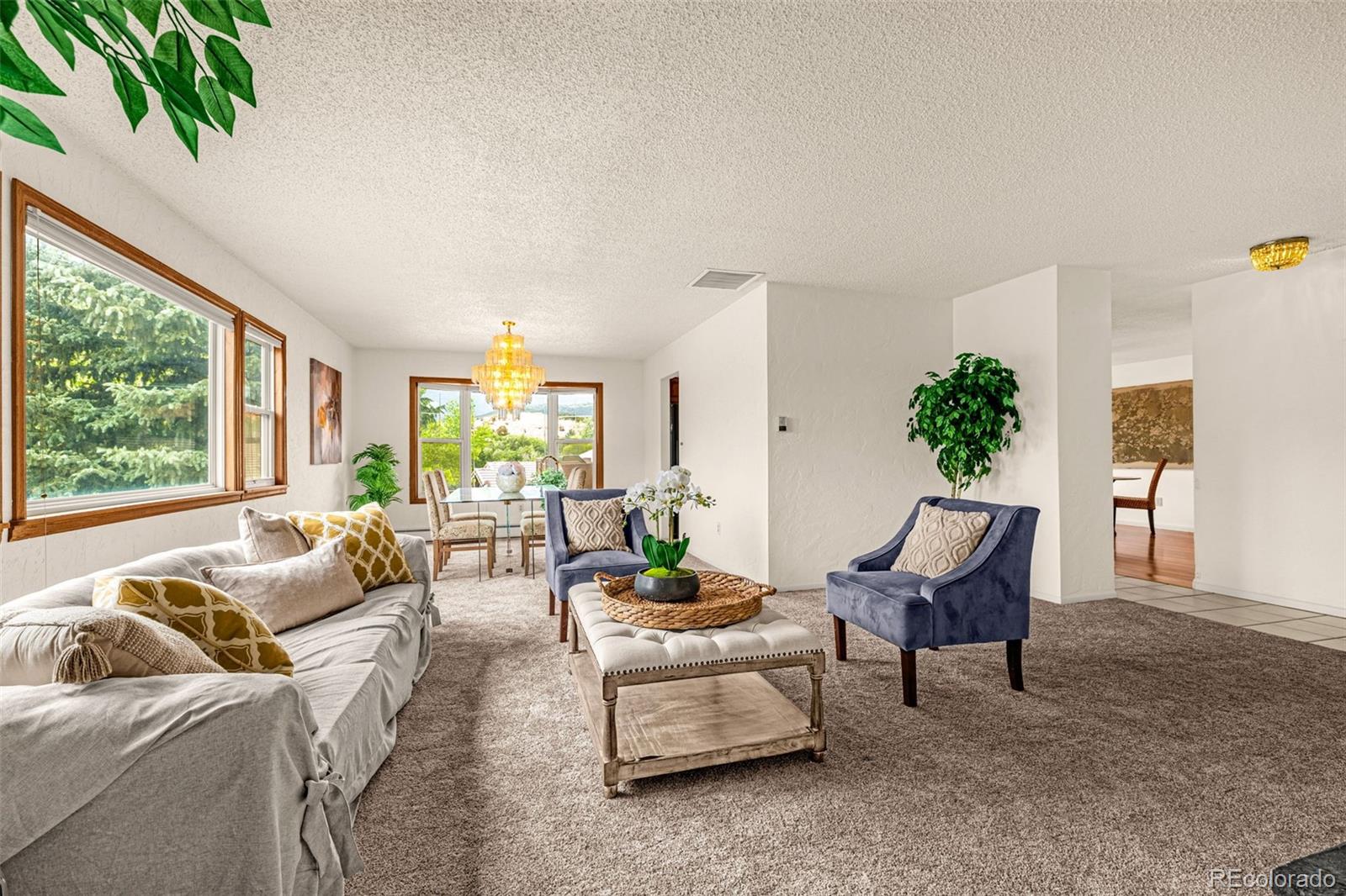 MLS Image #8 for 629  arnold lane,colorado springs, Colorado