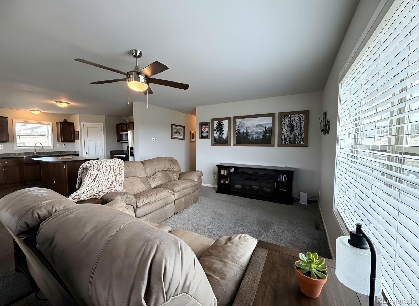 MLS Image #6 for 296  arapahoe circle,westcliffe, Colorado