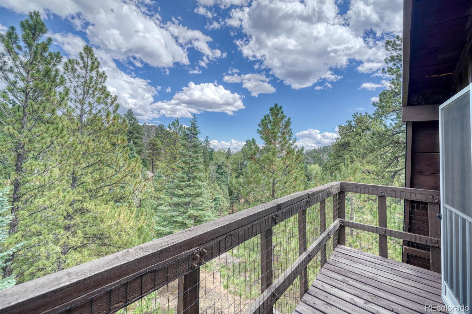 MLS Image #34 for 1927  basin drive,cotopaxi, Colorado