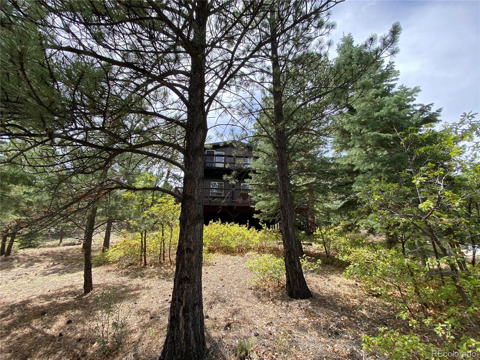 MLS Image #4 for 1927  basin drive,cotopaxi, Colorado