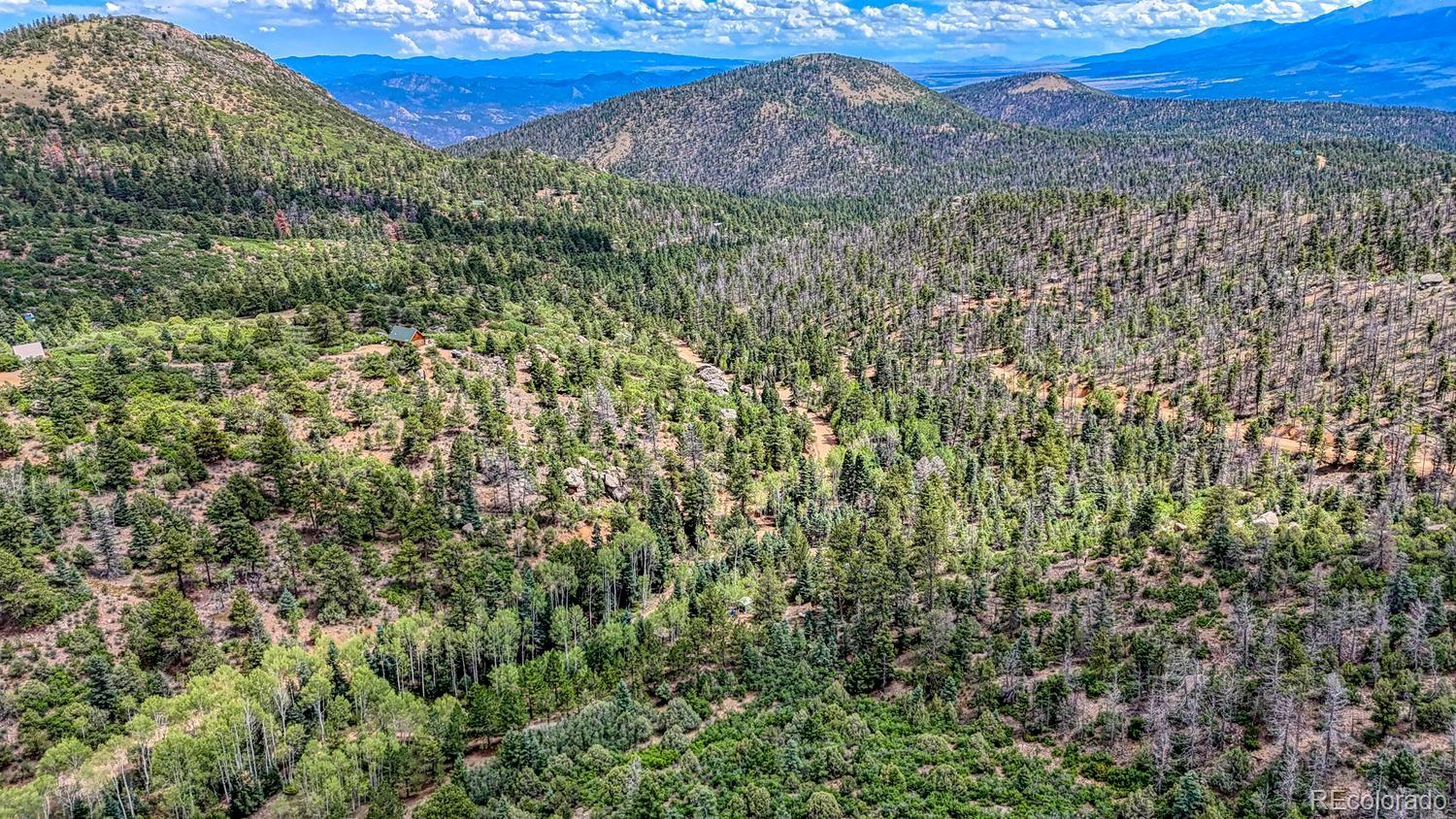 MLS Image #40 for 1927  basin drive,cotopaxi, Colorado