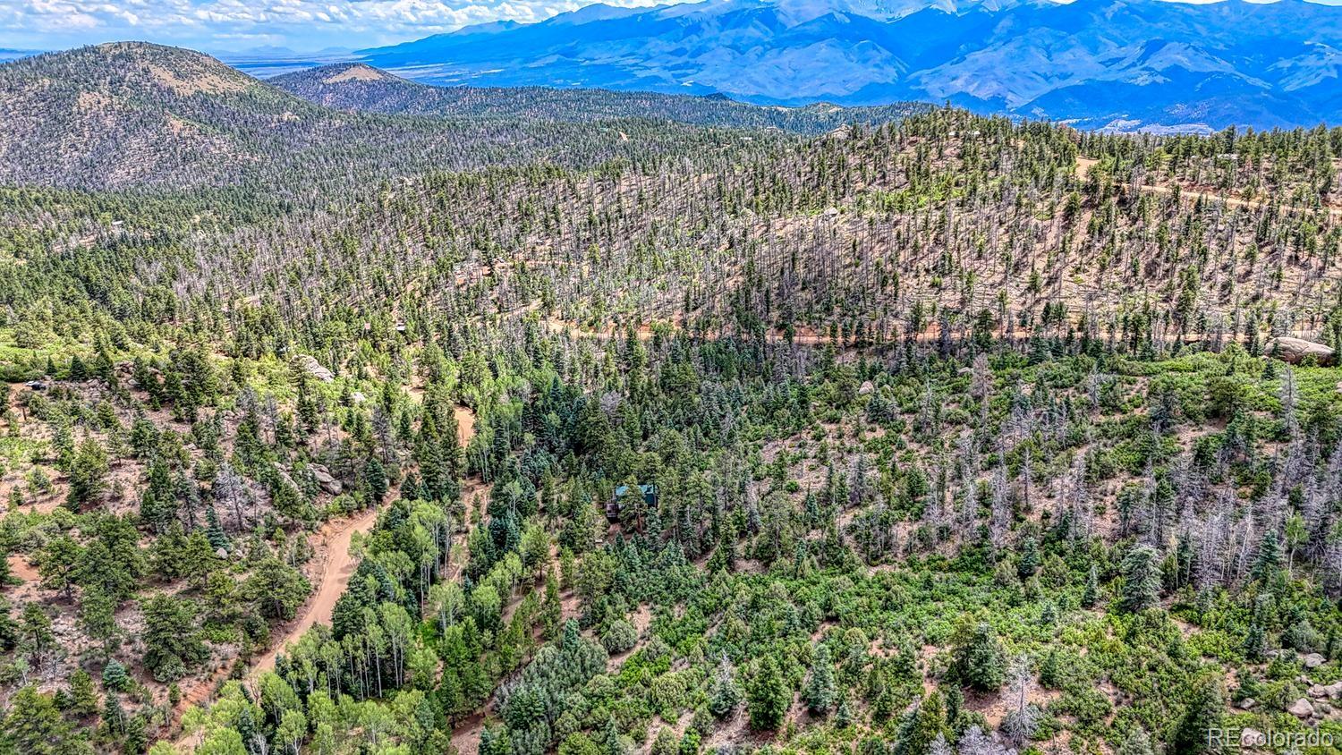 MLS Image #41 for 1927  basin drive,cotopaxi, Colorado