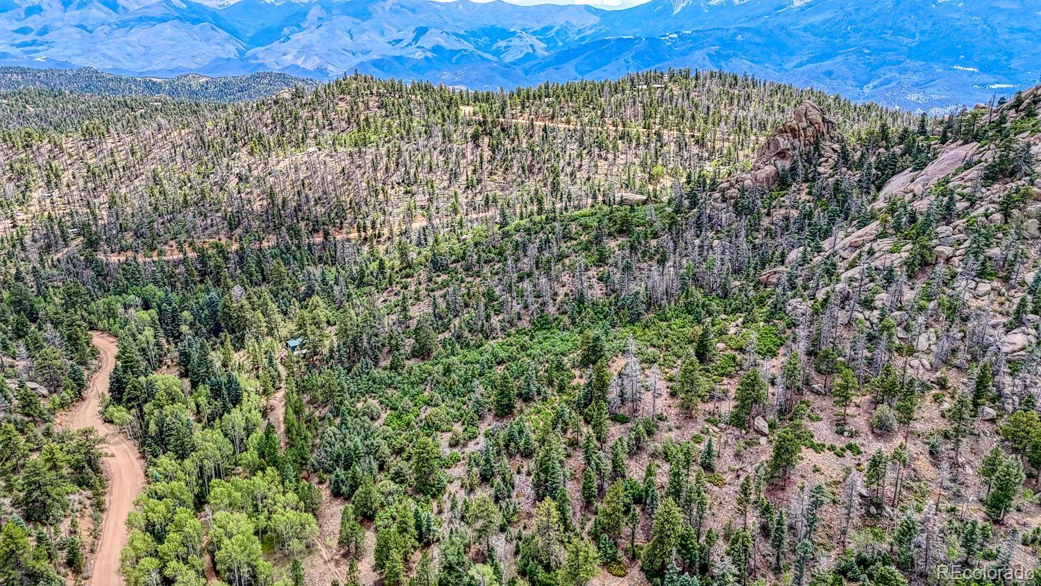 MLS Image #42 for 1927  basin drive,cotopaxi, Colorado