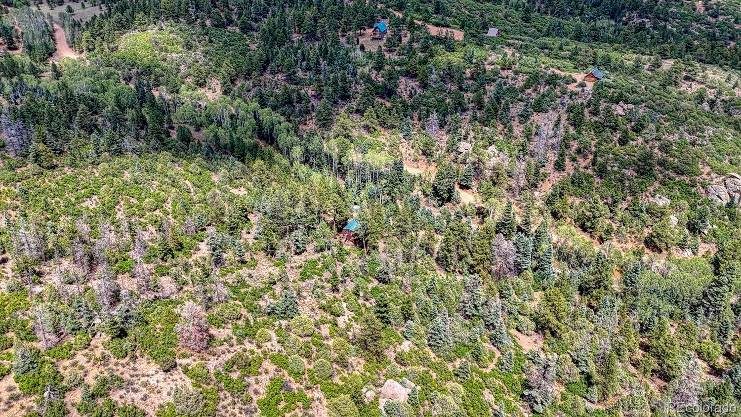 MLS Image #9 for 1927  basin drive,cotopaxi, Colorado