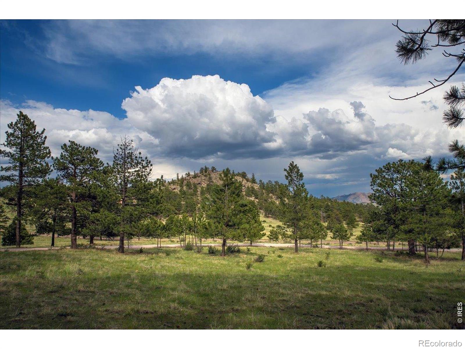 MLS Image #24 for 10  manhead mountain drive,livermore, Colorado