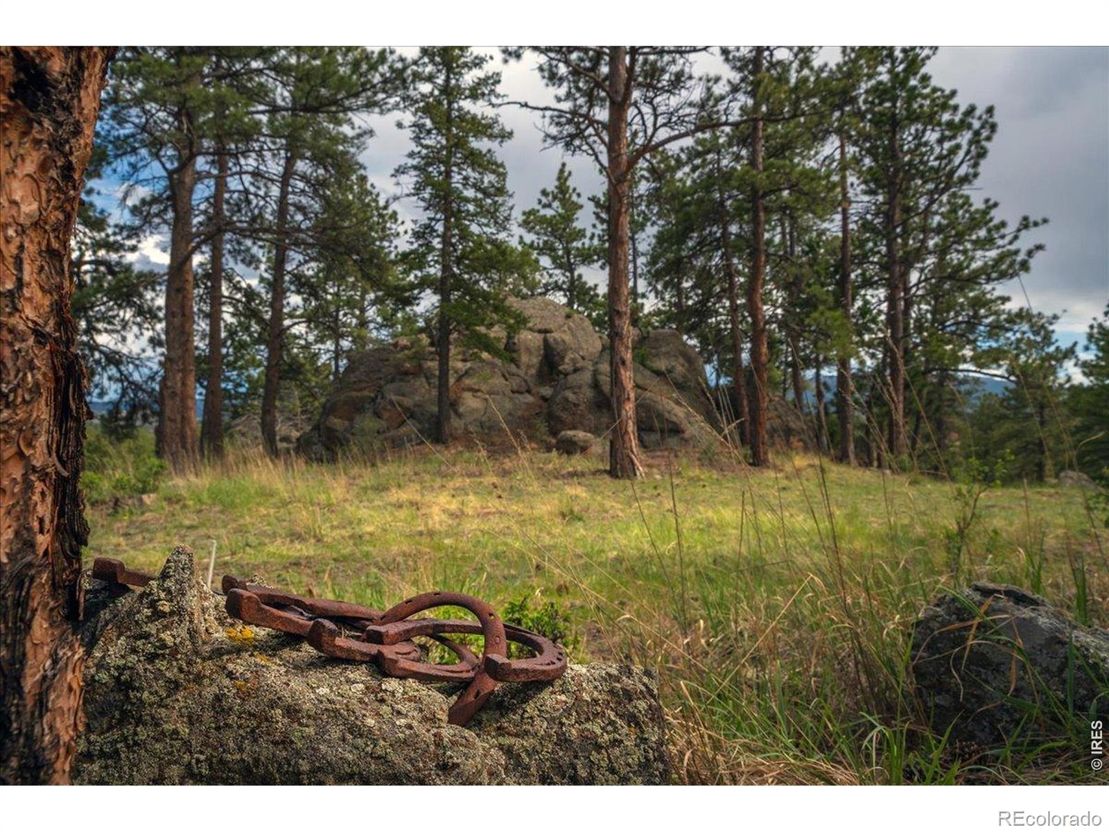 MLS Image #27 for 10  manhead mountain drive,livermore, Colorado