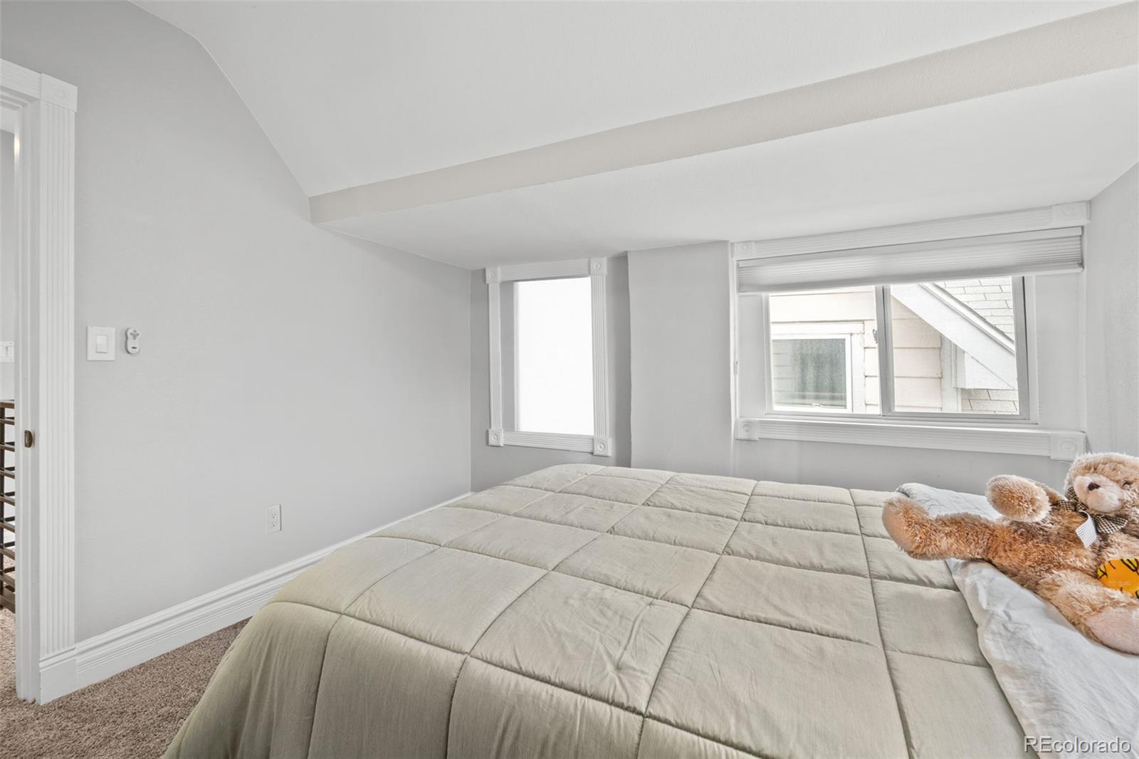 MLS Image #17 for 3233 n marion street,denver, Colorado