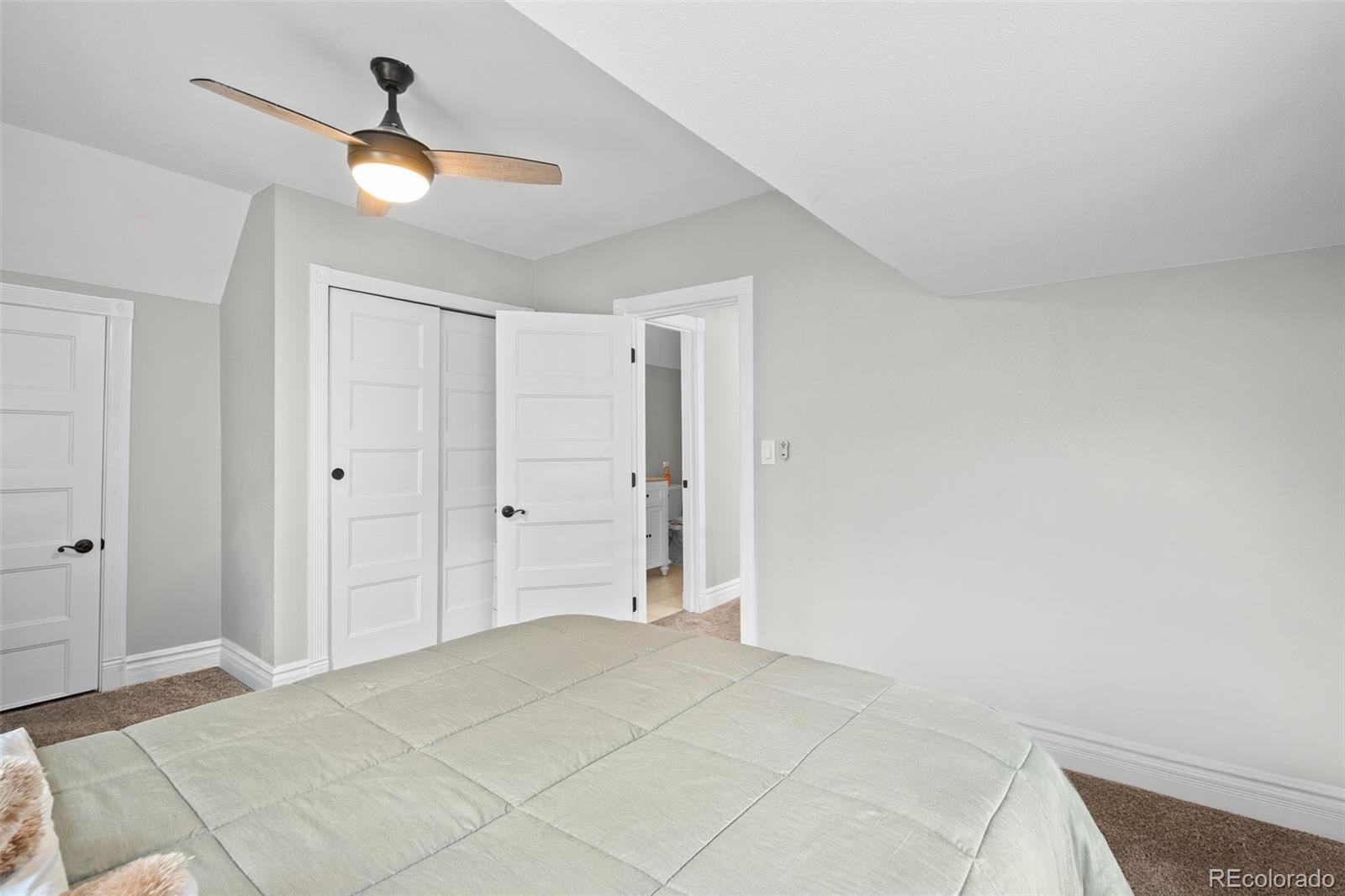 MLS Image #18 for 3233 n marion street,denver, Colorado