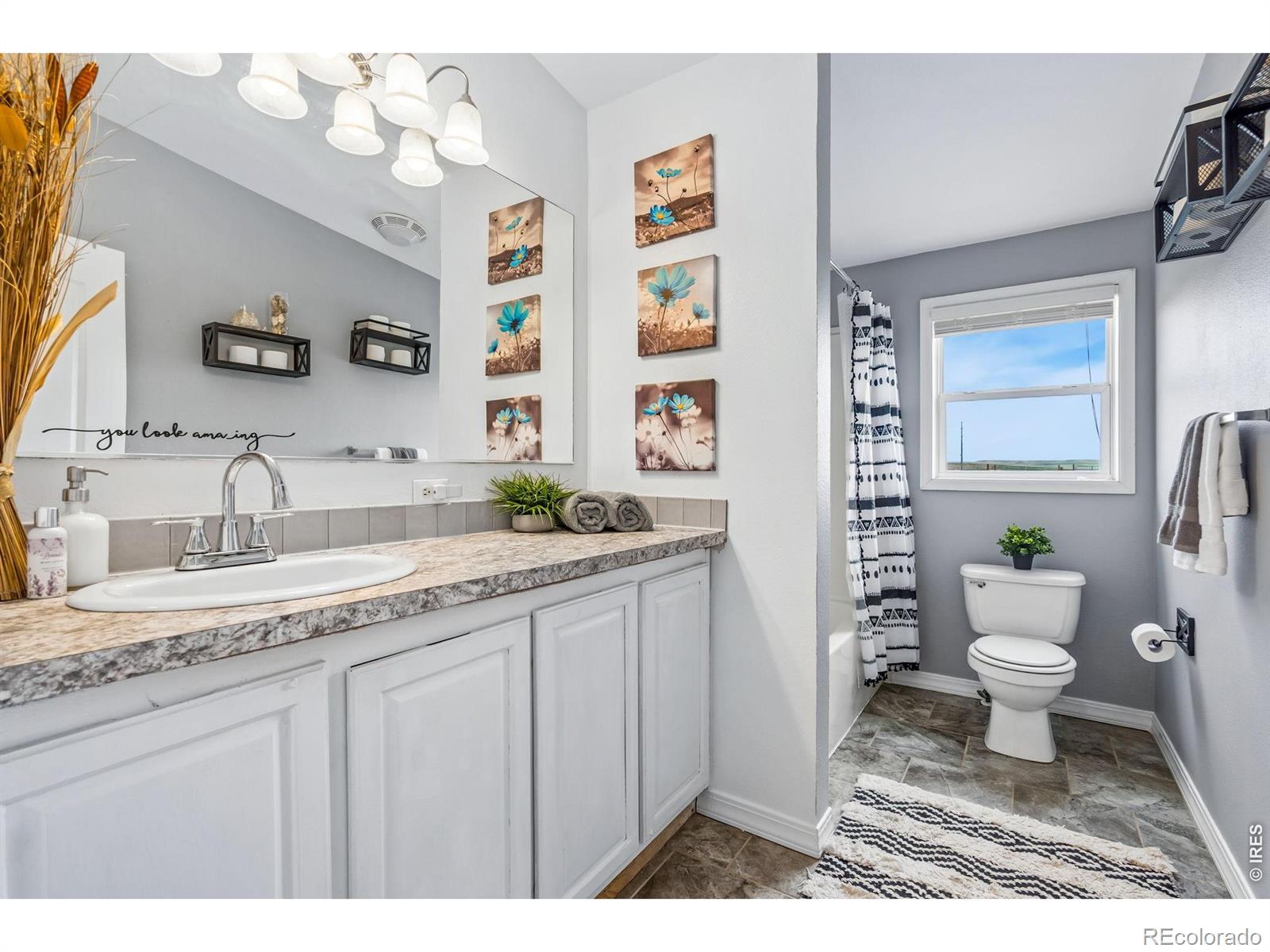MLS Image #28 for 5314  aldridge road,wellington, Colorado
