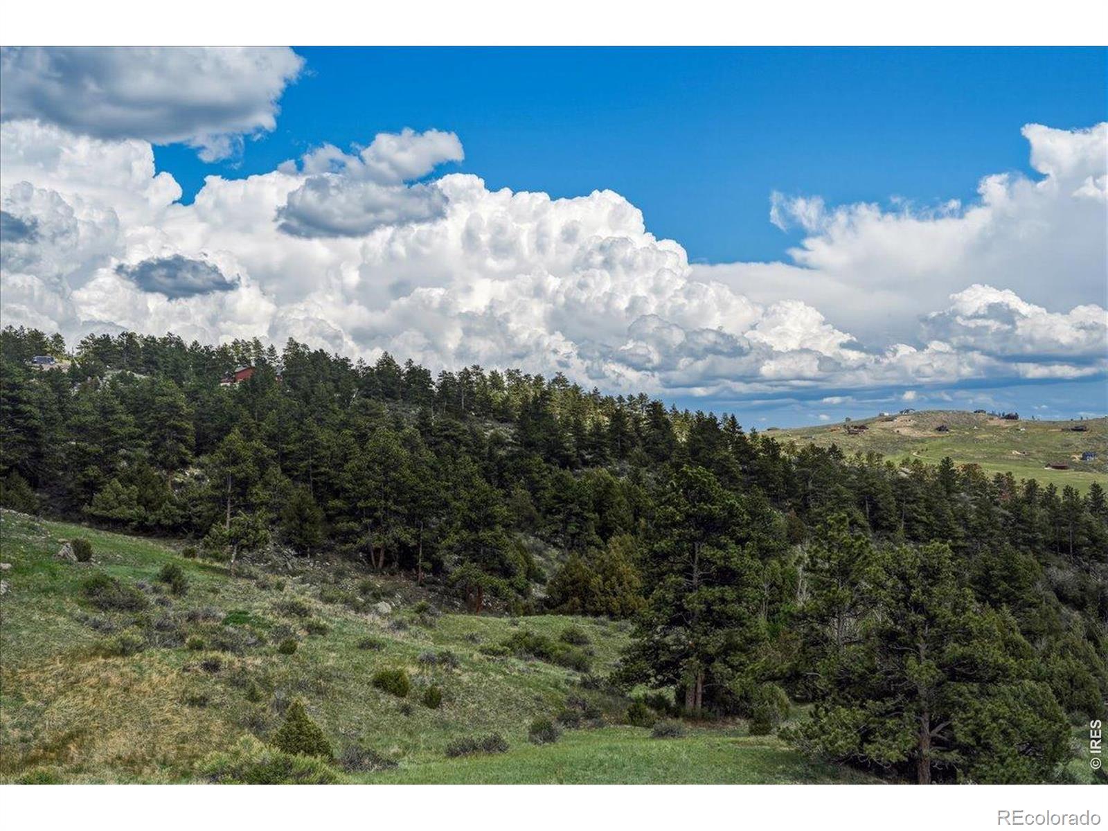 MLS Image #28 for 285  guardian peak drive,livermore, Colorado