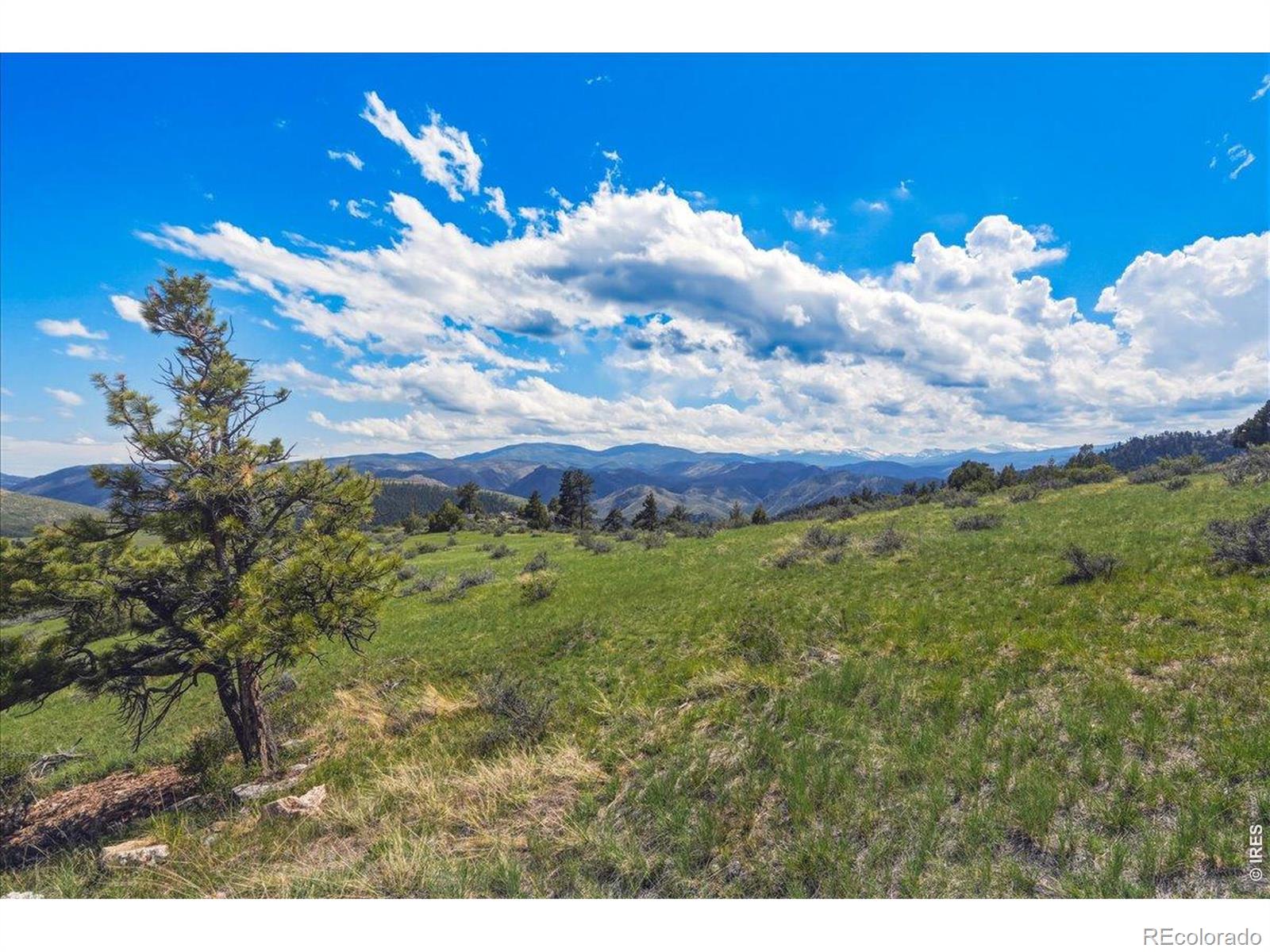 MLS Image #33 for 285  guardian peak drive,livermore, Colorado