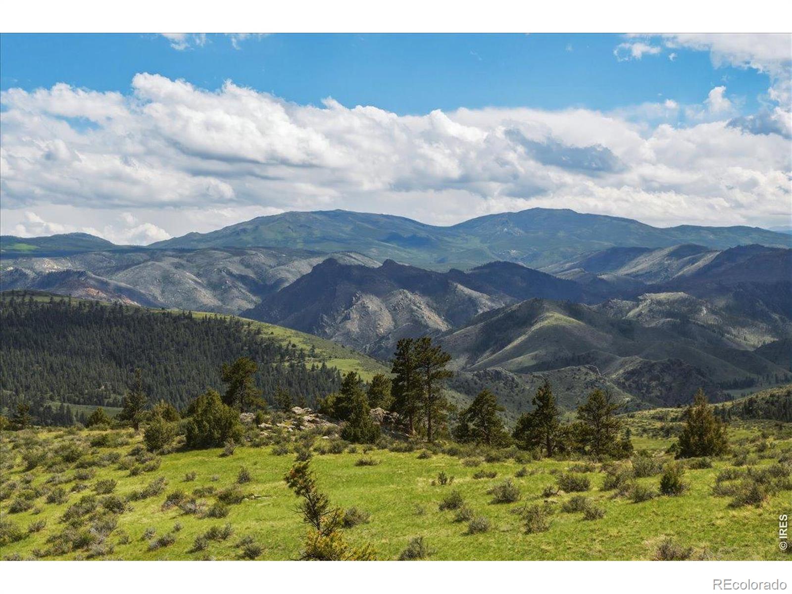 MLS Image #34 for 285  guardian peak drive,livermore, Colorado