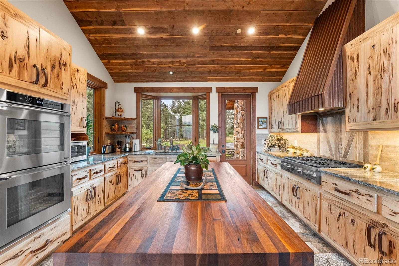 MLS Image #11 for 33691  twin firs trail,evergreen, Colorado