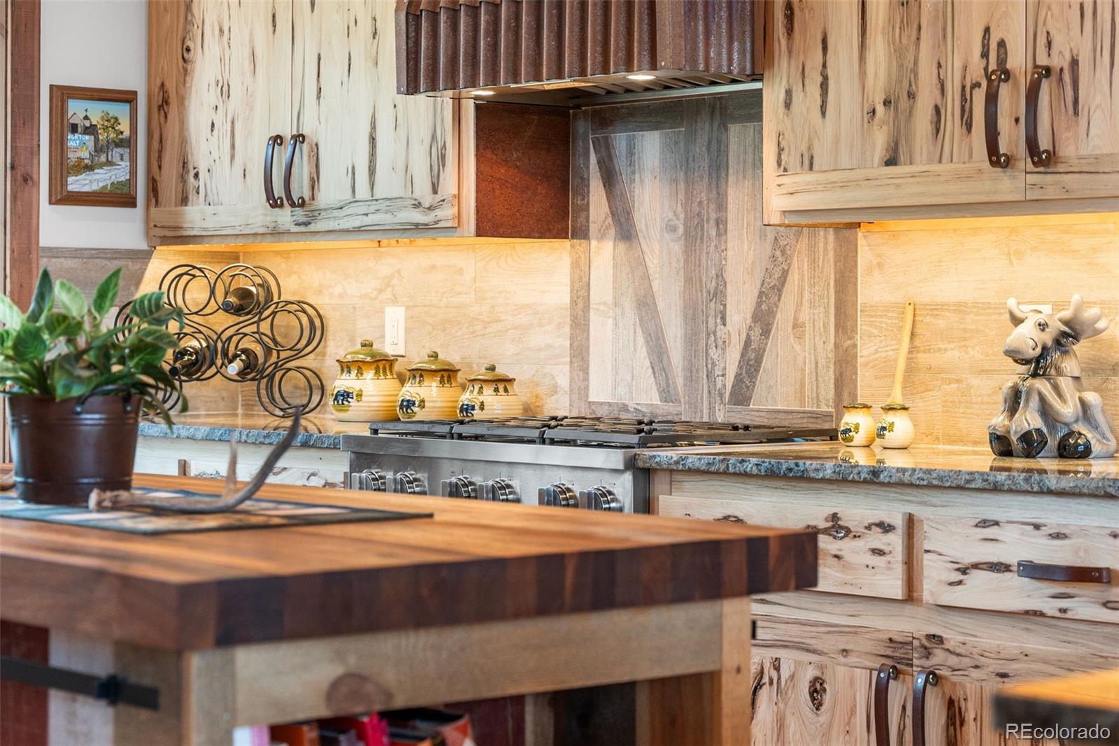 MLS Image #13 for 33691  twin firs trail,evergreen, Colorado